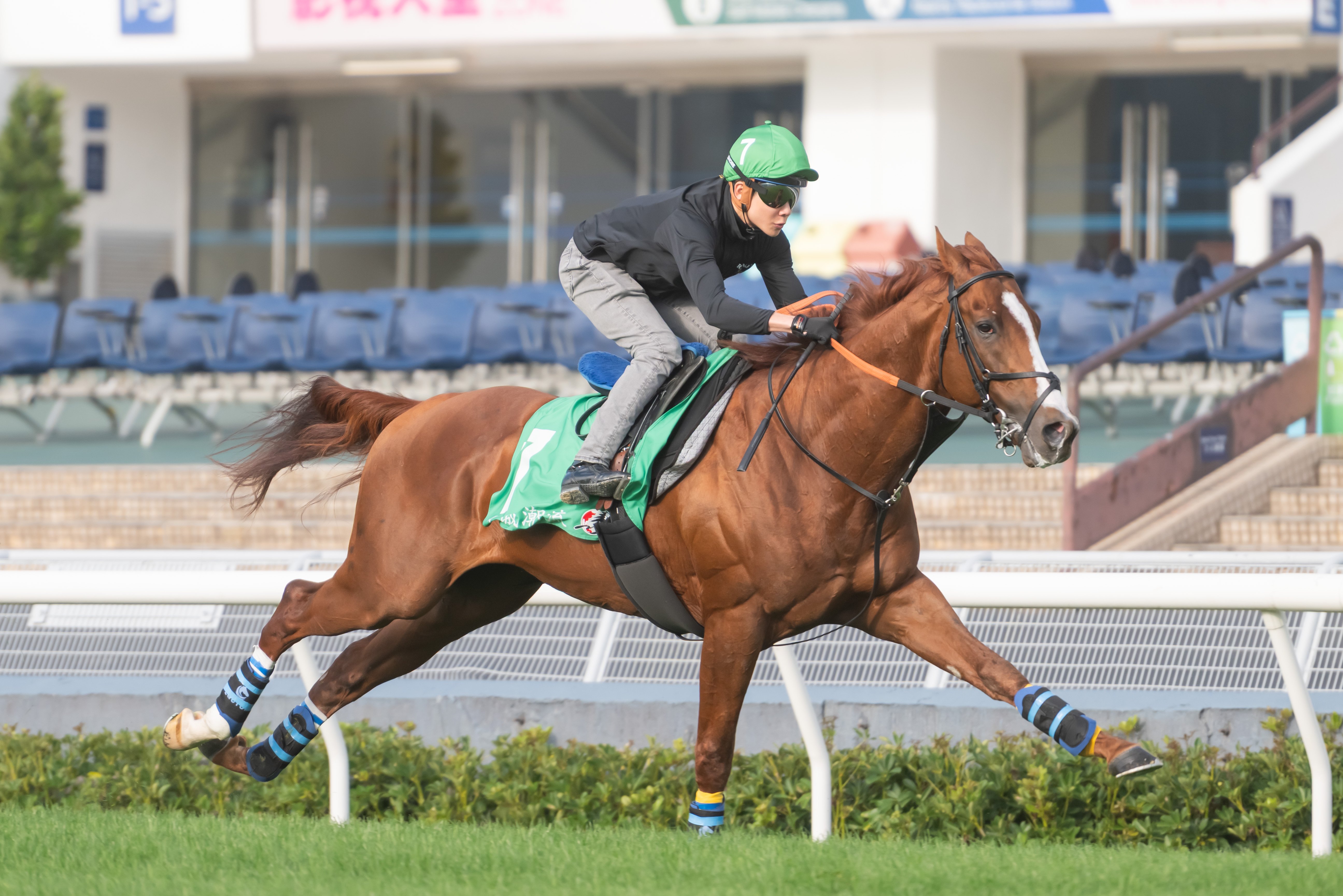 「名城潮流」在沙田草地跑道上操練，備戰浪琴香港瓶