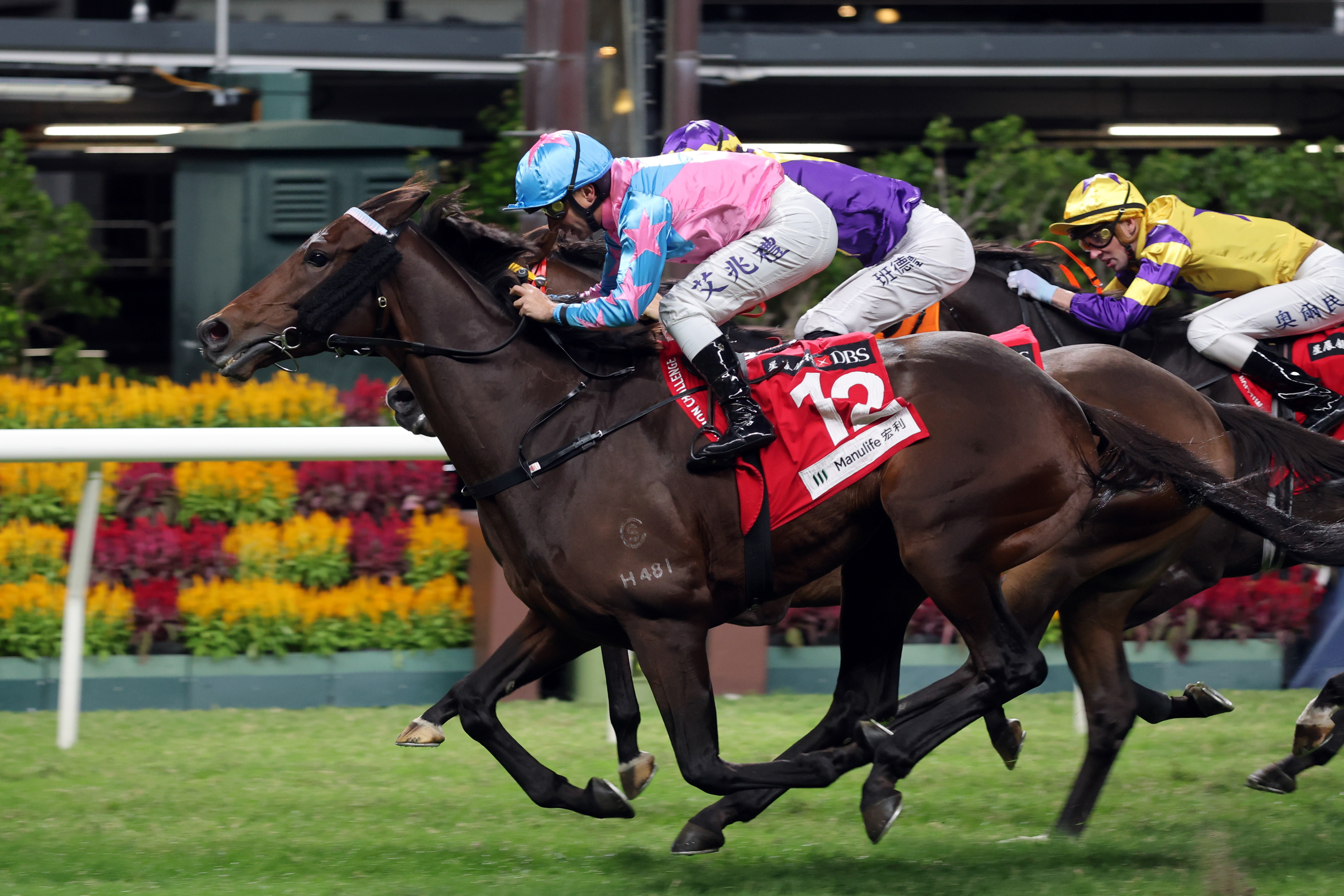「勁好運」在跑馬地取得兩連捷