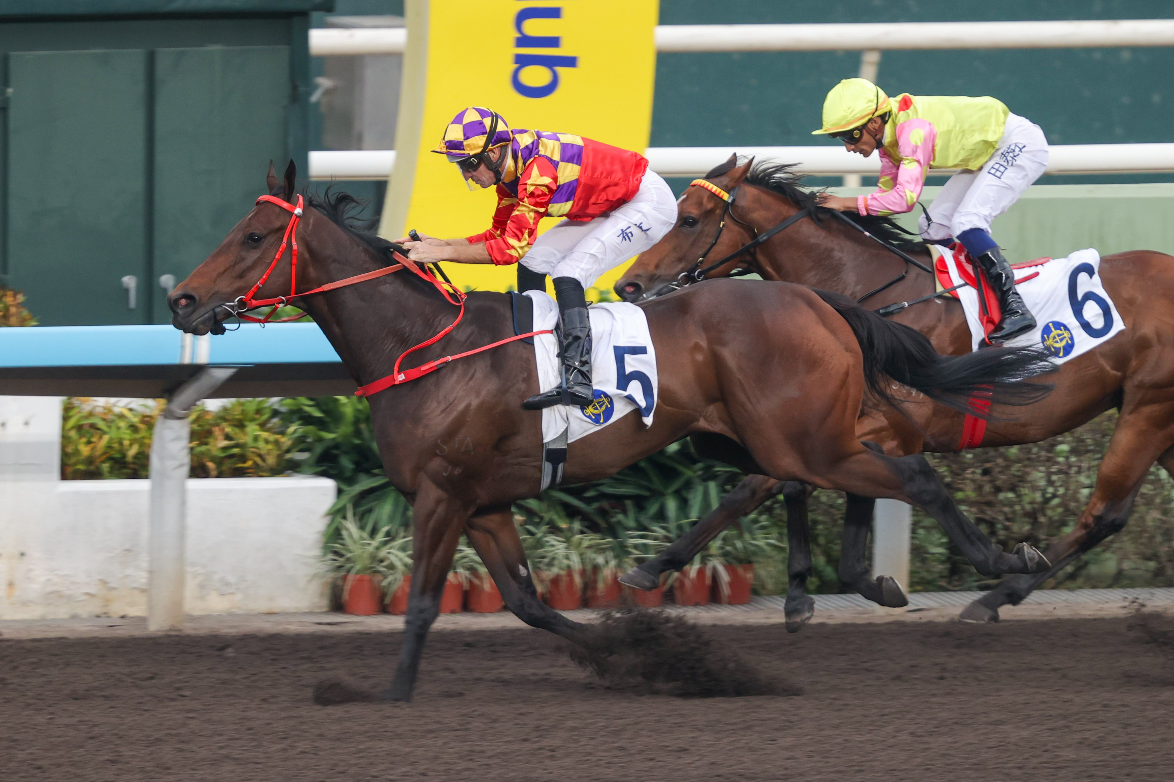 布文盼夥拍「華麗再勝」繼本月初後攜手再勝一仗