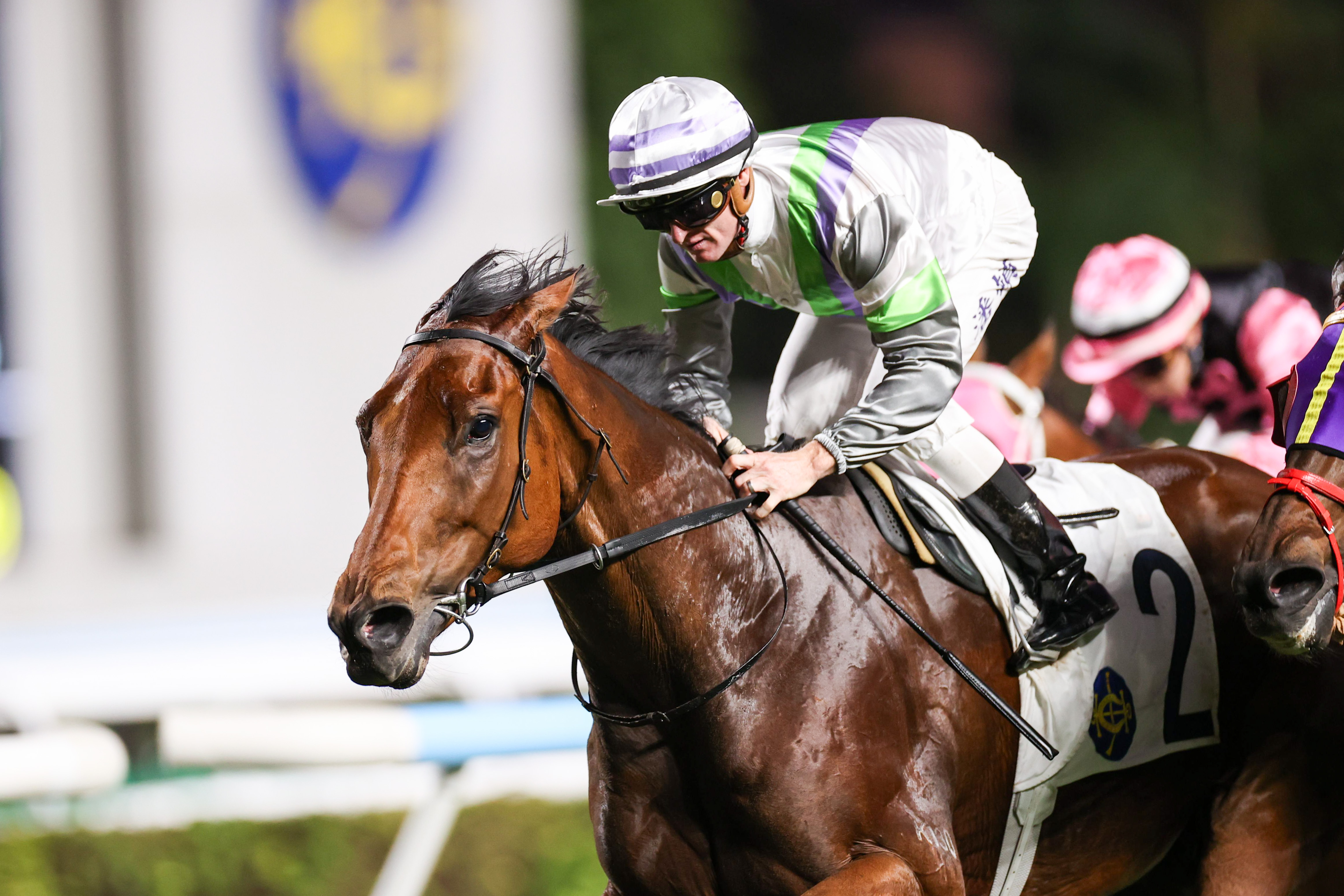 「光年魅力」是目前游達榮麾下評分最高的賽駒