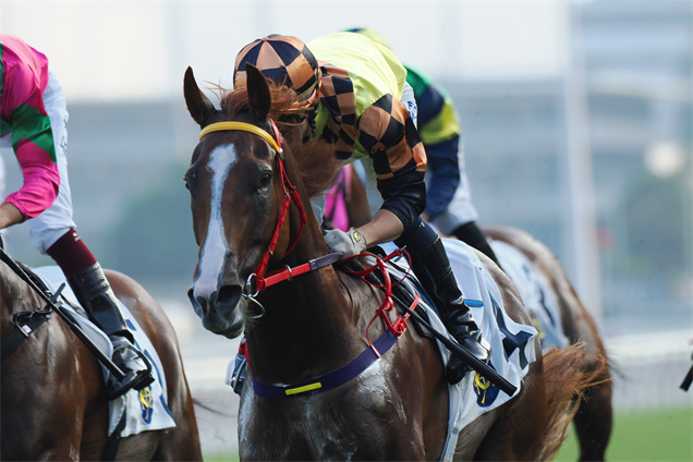 「魔術控制」迄今在港兩勝頭馬