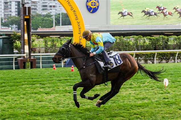 「維港智能」在跑馬地1200米試閘中以首名過終點