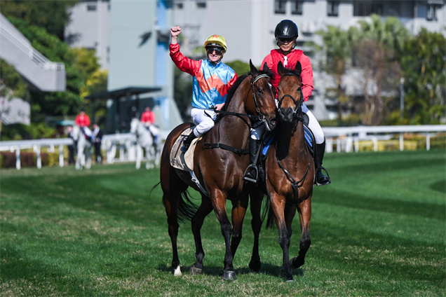 潘頓今天兩勝頭馬