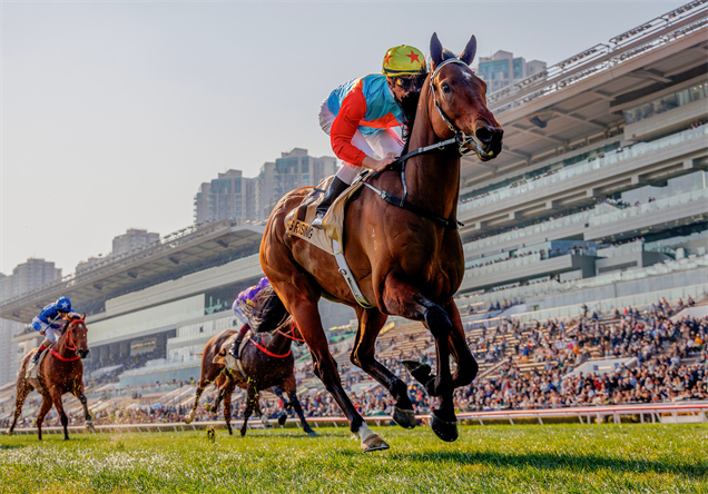 潘頓距離創出香港賽馬史新一頁僅差兩場頭馬