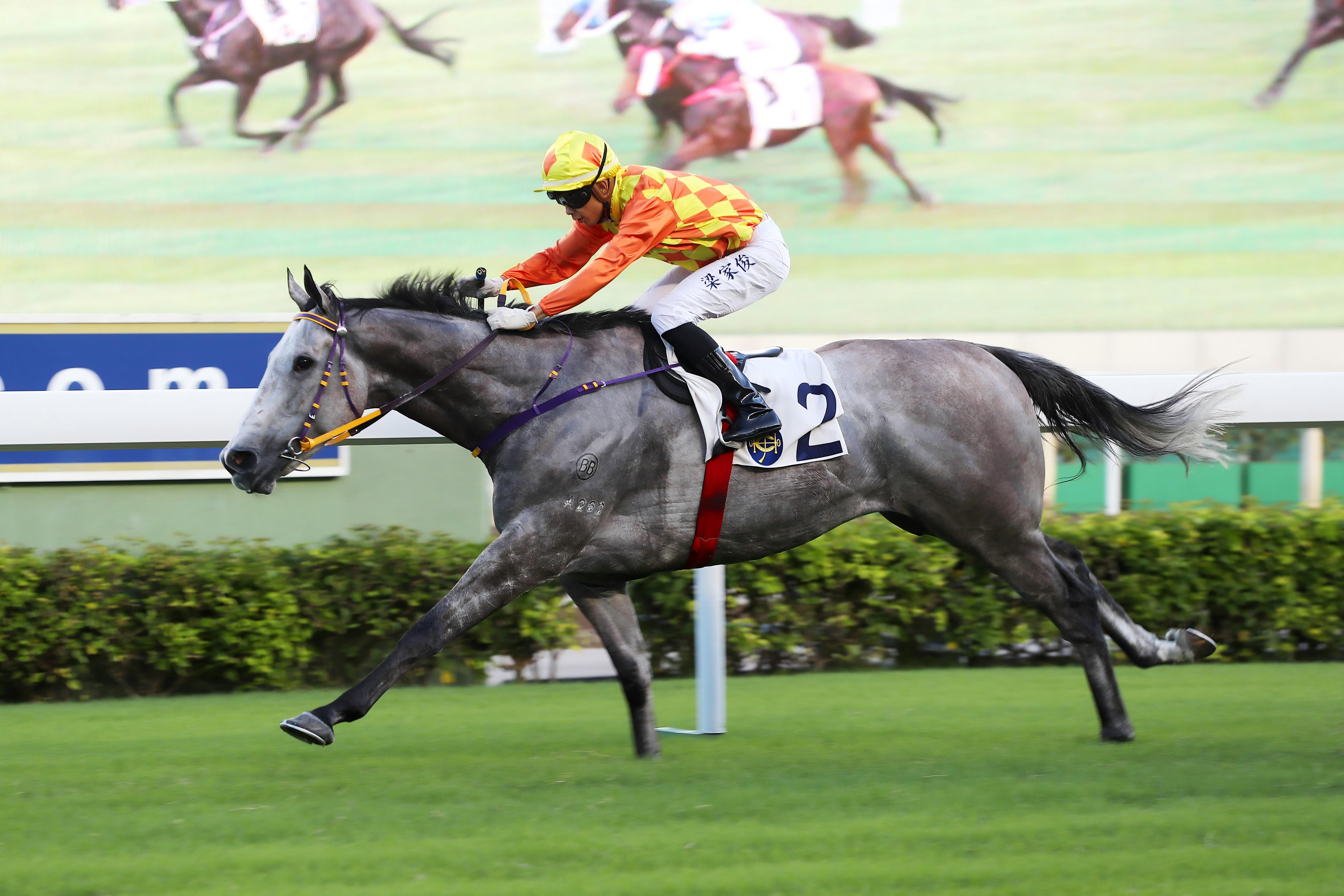 「平湖之星」為容天鵬取得五捷。