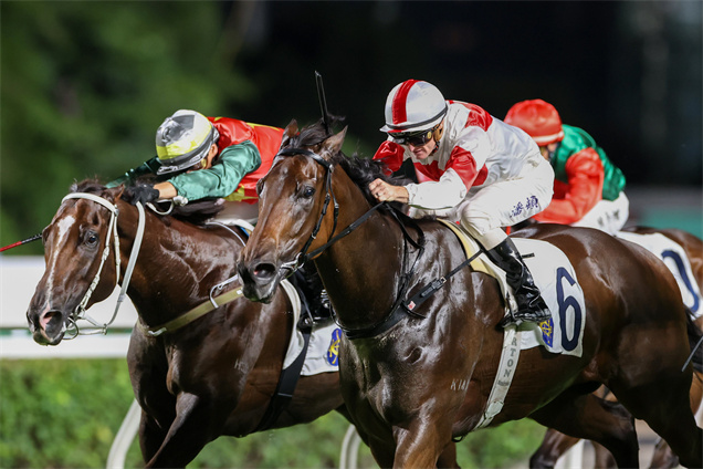 潘頓在主席賽馬日中四勝頭馬