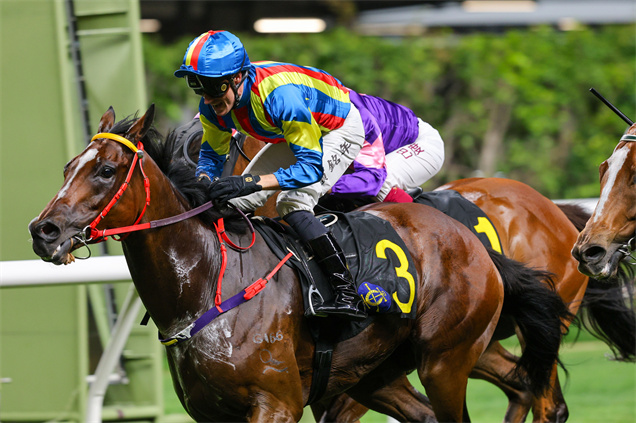 賀銘年與「天足貓」合作無間
