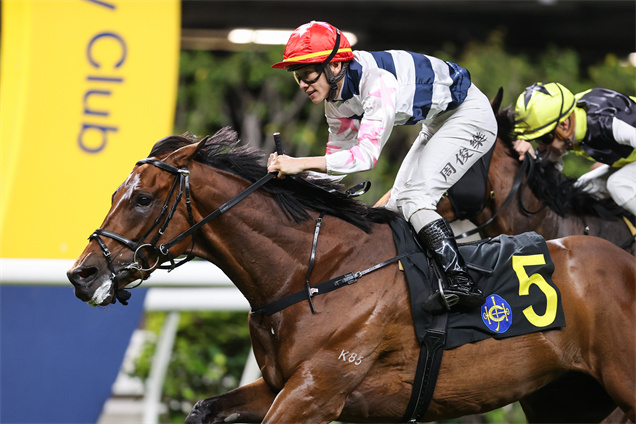 「包裝創新」曾於5月在跑馬地摘桂