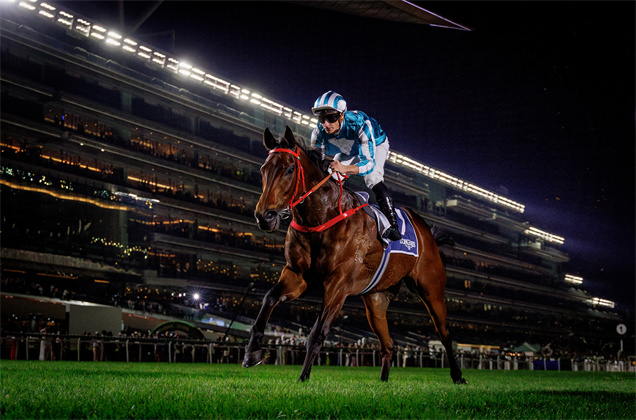 「浪漫勇士」榮膺最佳中距離馬