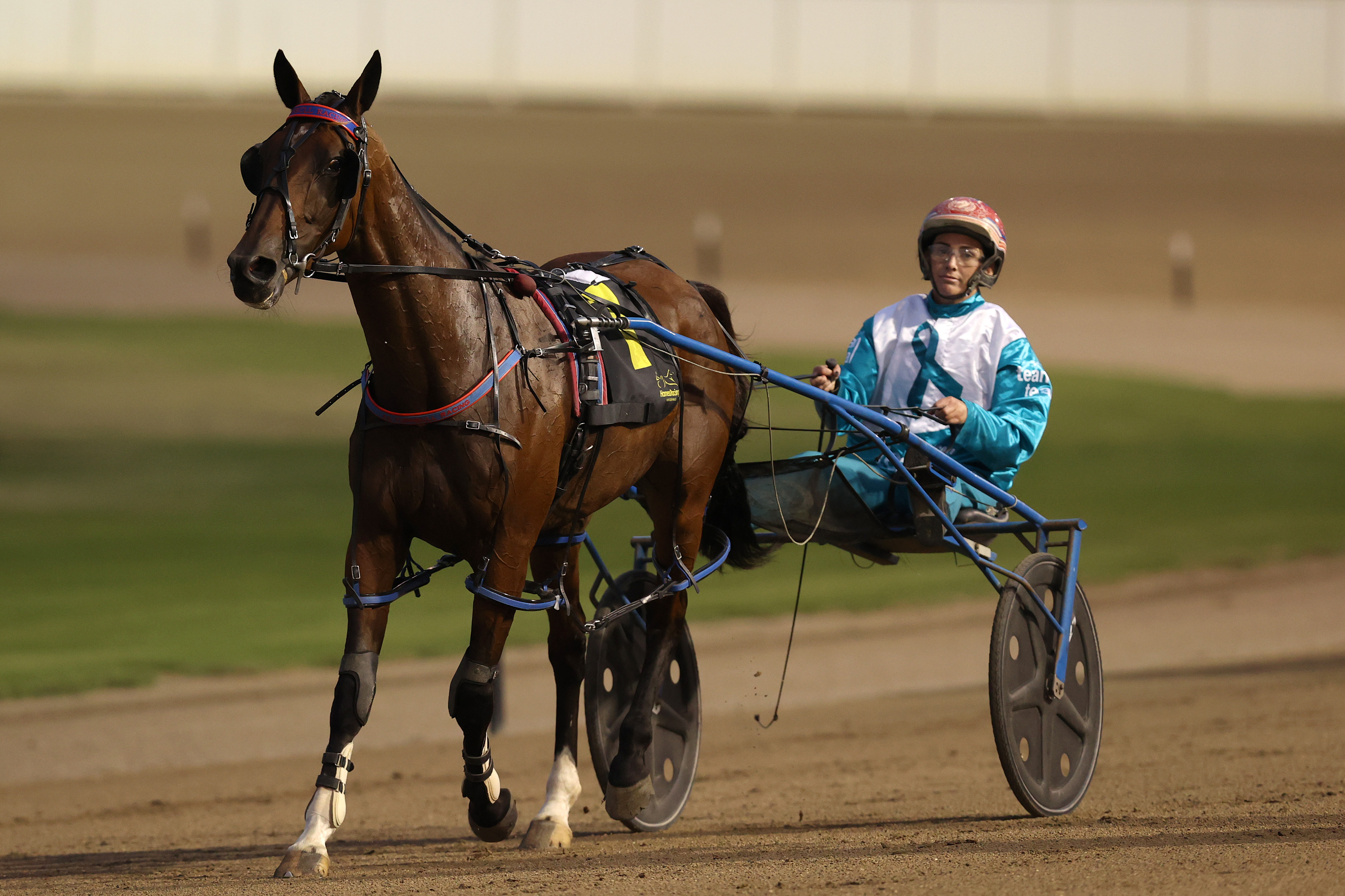 Amanda Turnbull. Photo Harness Racing NSW
