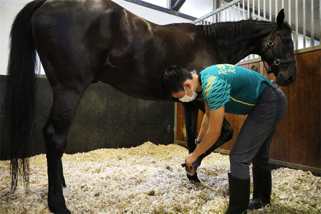 賽事見習學員修讀的課程內容廣泛，當中包括騎術等範疇，同時涵蓋馬房管理及馬匹照顧，裝備學員投身賽馬業其他重要崗位