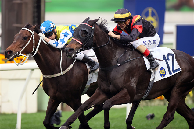 「觔斗雲」（十二號馬）曾在香港的一級賽中跑入位置