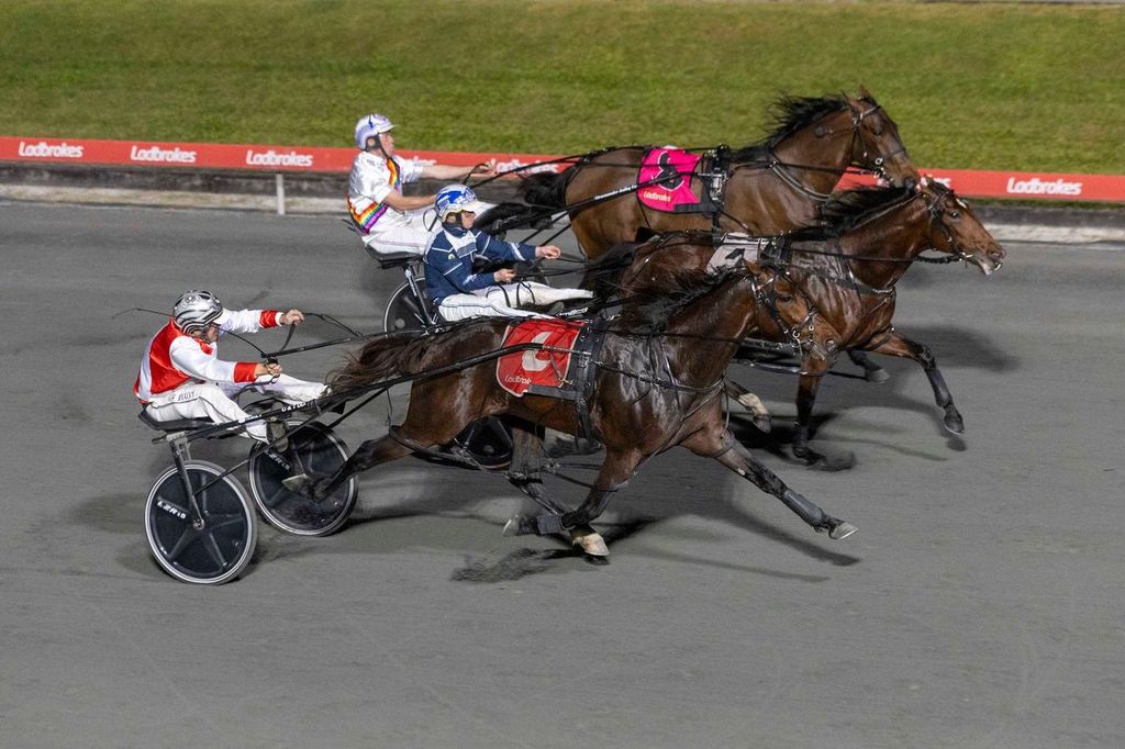 Fate Awaits. Photo Dan Costello/Racing Queensland