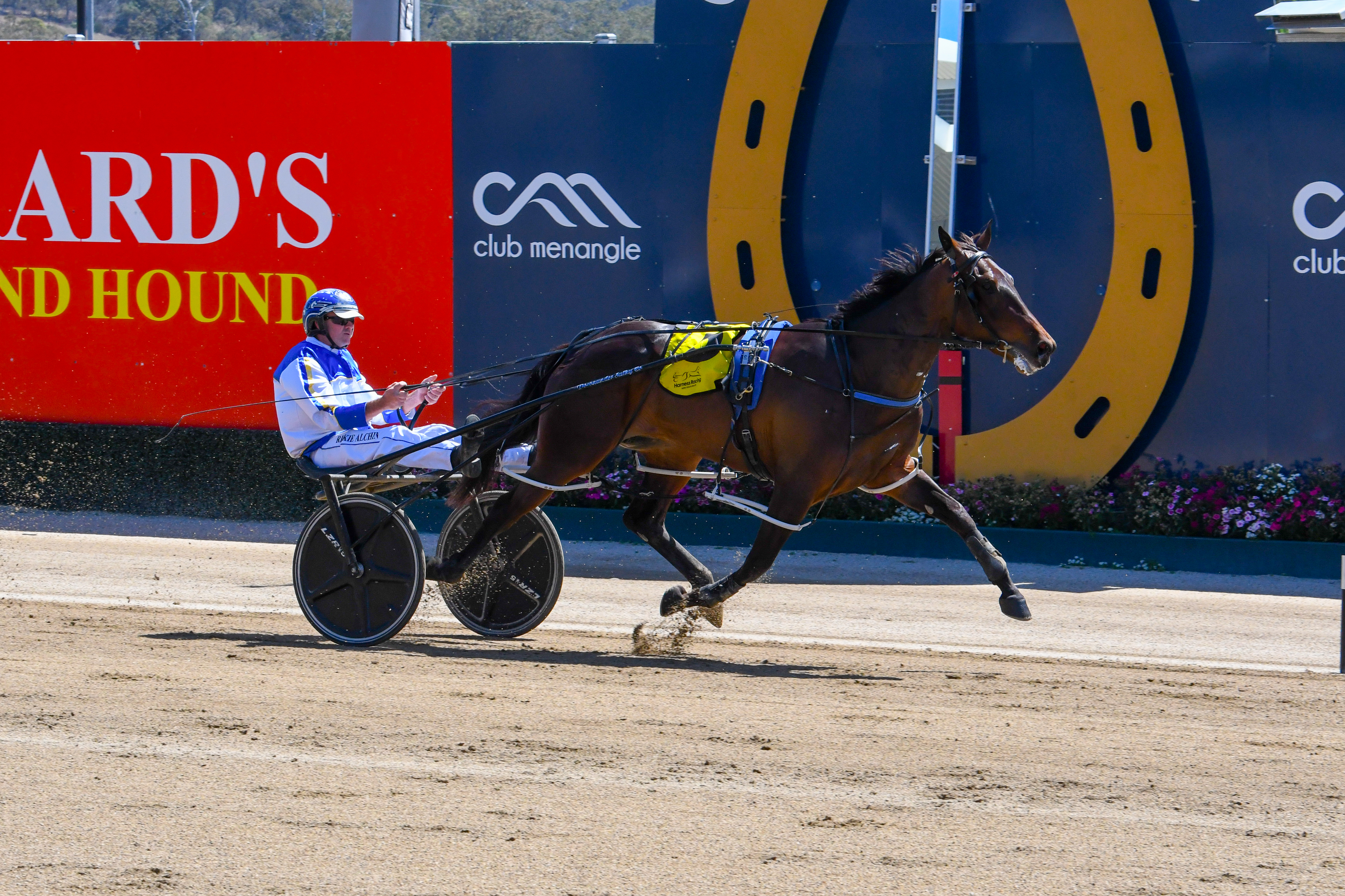 Lux Aeterna. Photo HRNSW.