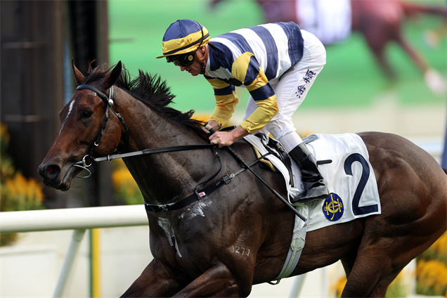 「包裝天將」迄今在港五勝頭馬