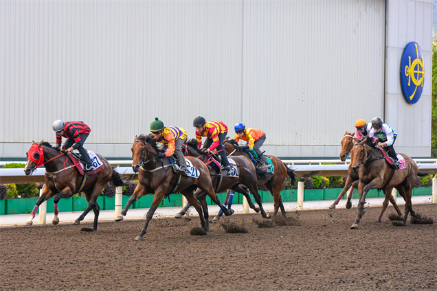 寶馬香港打吡大賽冠軍「百賀飛駒」(綠帽) 於5月16日早上在沙田試閘，表現出色