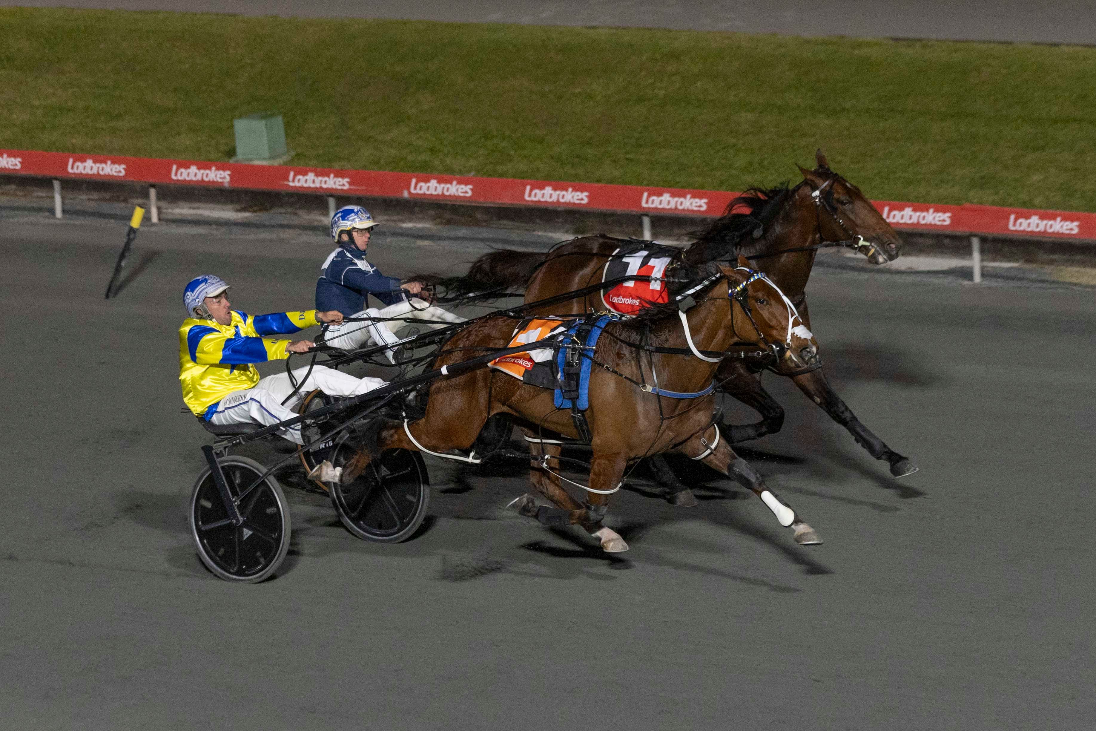 Major Hot. Photo Dan Costello/Racing Queensland.