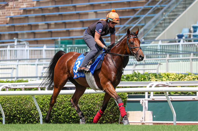 「譽滿杜拜」今晨（5月22日星期四）在沙田出操