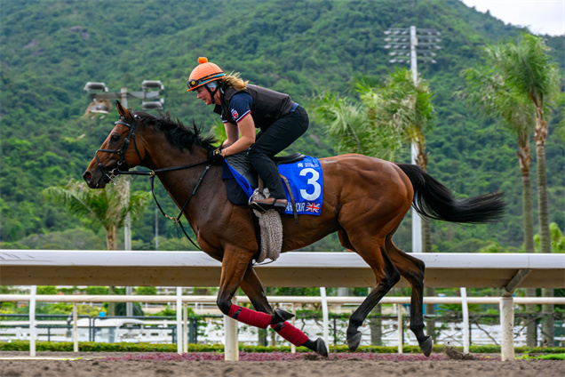 「譽滿杜拜」在沙田出操
