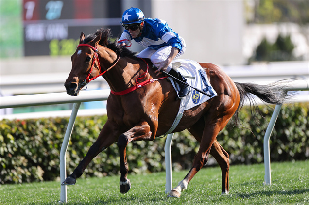 「幸運有您」曾在一級賽中取得亞軍好成績