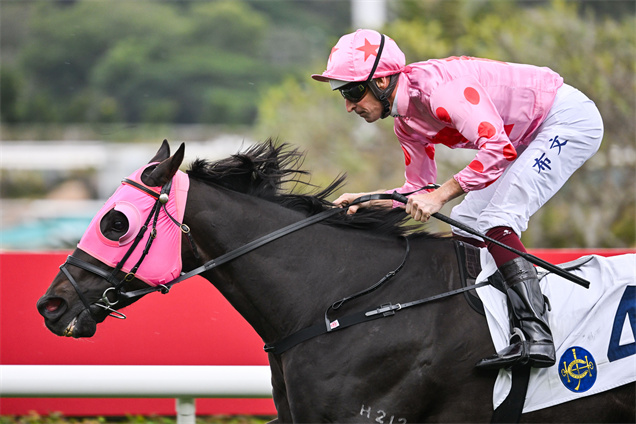 由呂健威訓練的「禪勝輝煌」迄今八勝頭馬