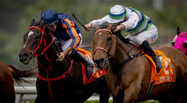 「紅運帝王」(左) 勝出一級賽富衛保險冠軍一哩賽（1600米）
