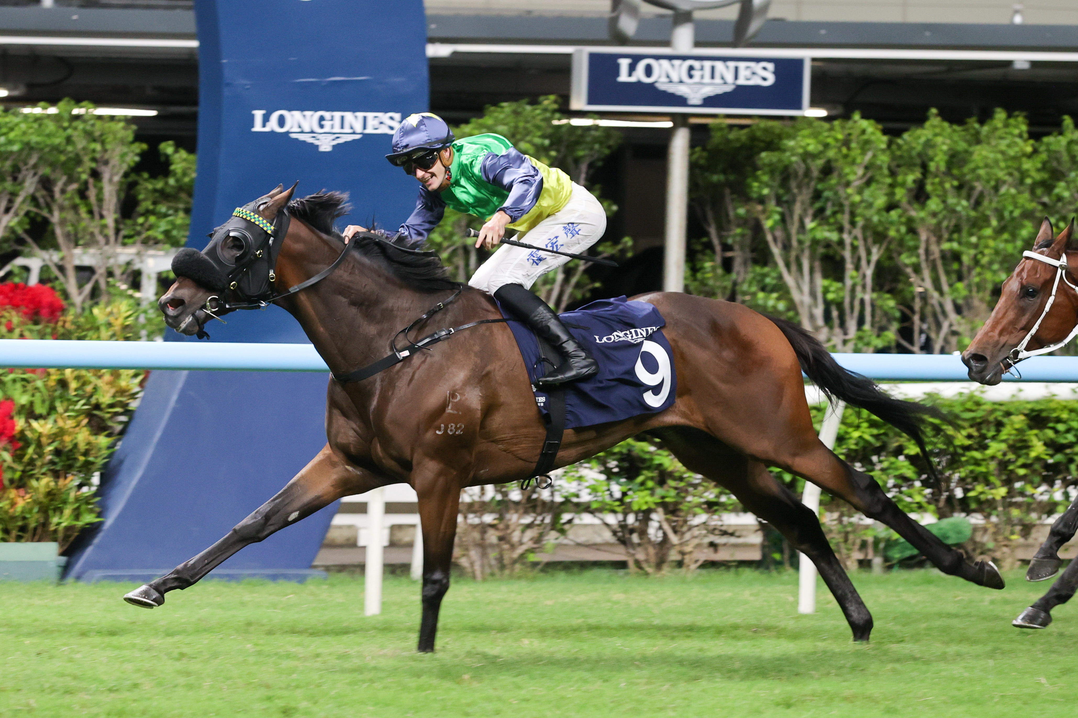 「年少多好」上仗擊敗「顏色之皇」