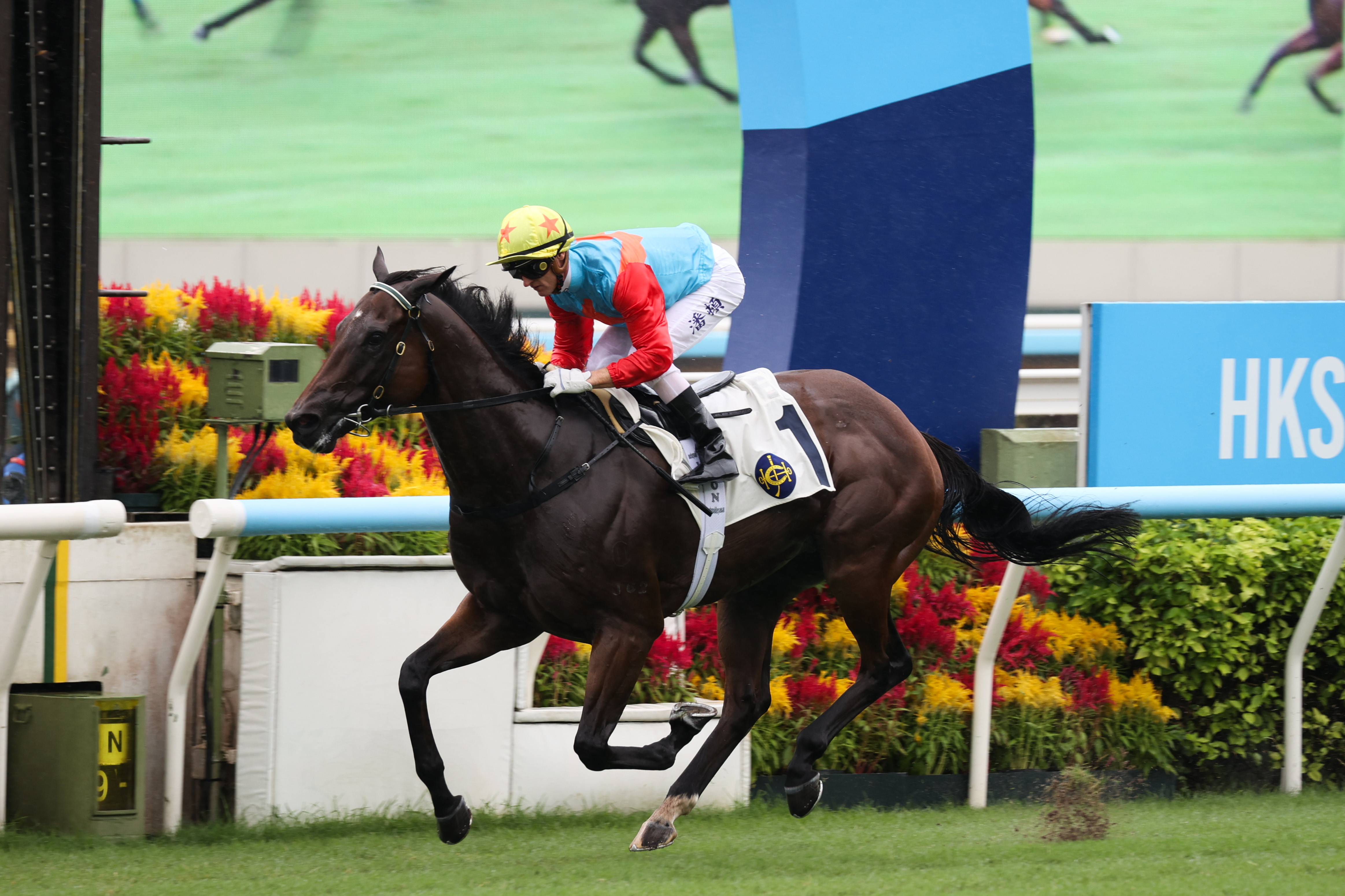 「嘉應高昇」榮膺2024/2025年度馬季香港馬王。