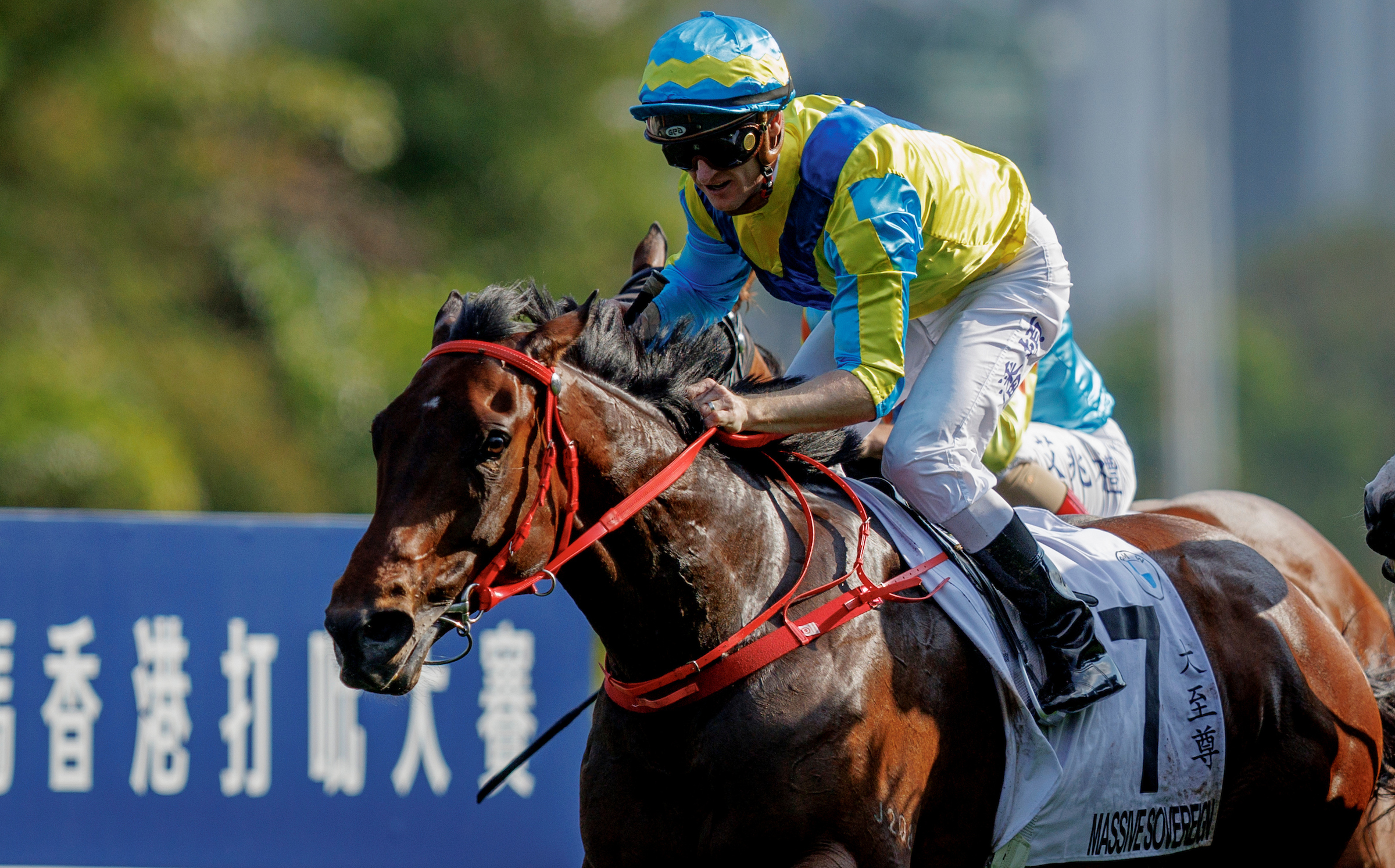 「大至尊」盼能擺脫上季的傷患困擾重振聲威