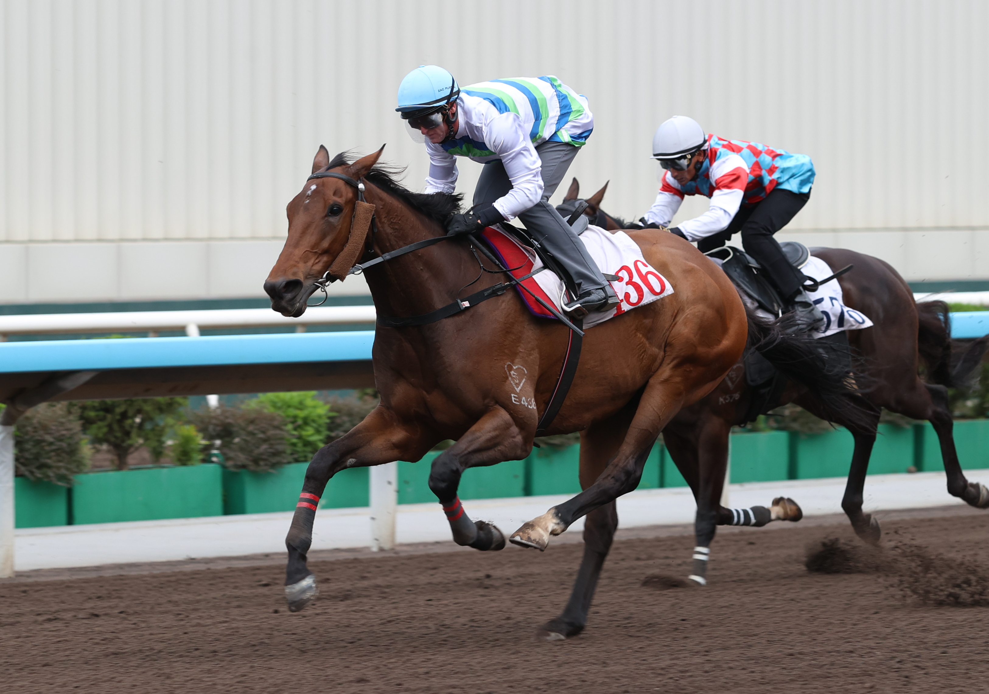 「遨遊氣泡」今晨在沙田試閘時加速良佳。