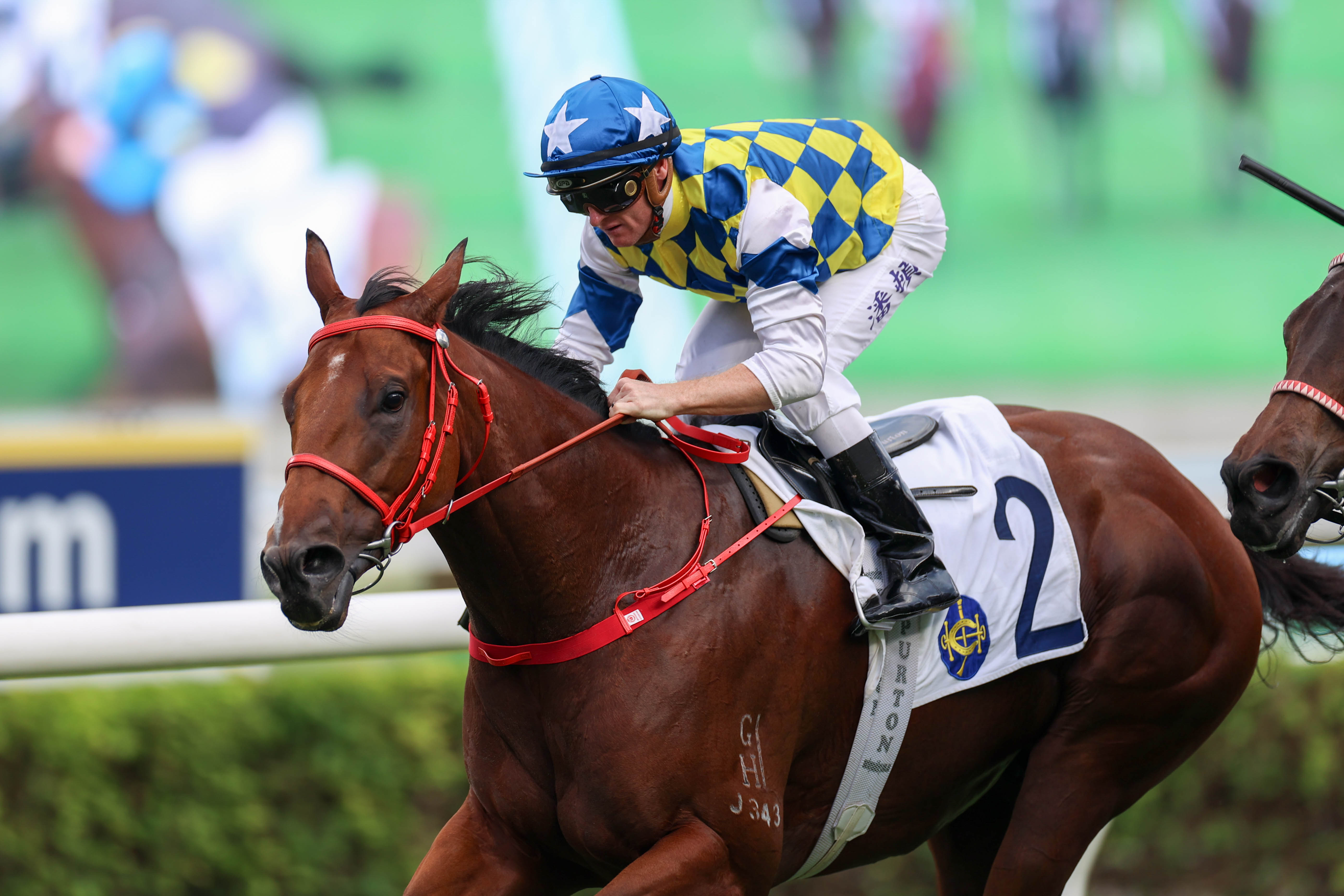 「錶之星河」將於週日（11月15日）首度出爭第二班賽事