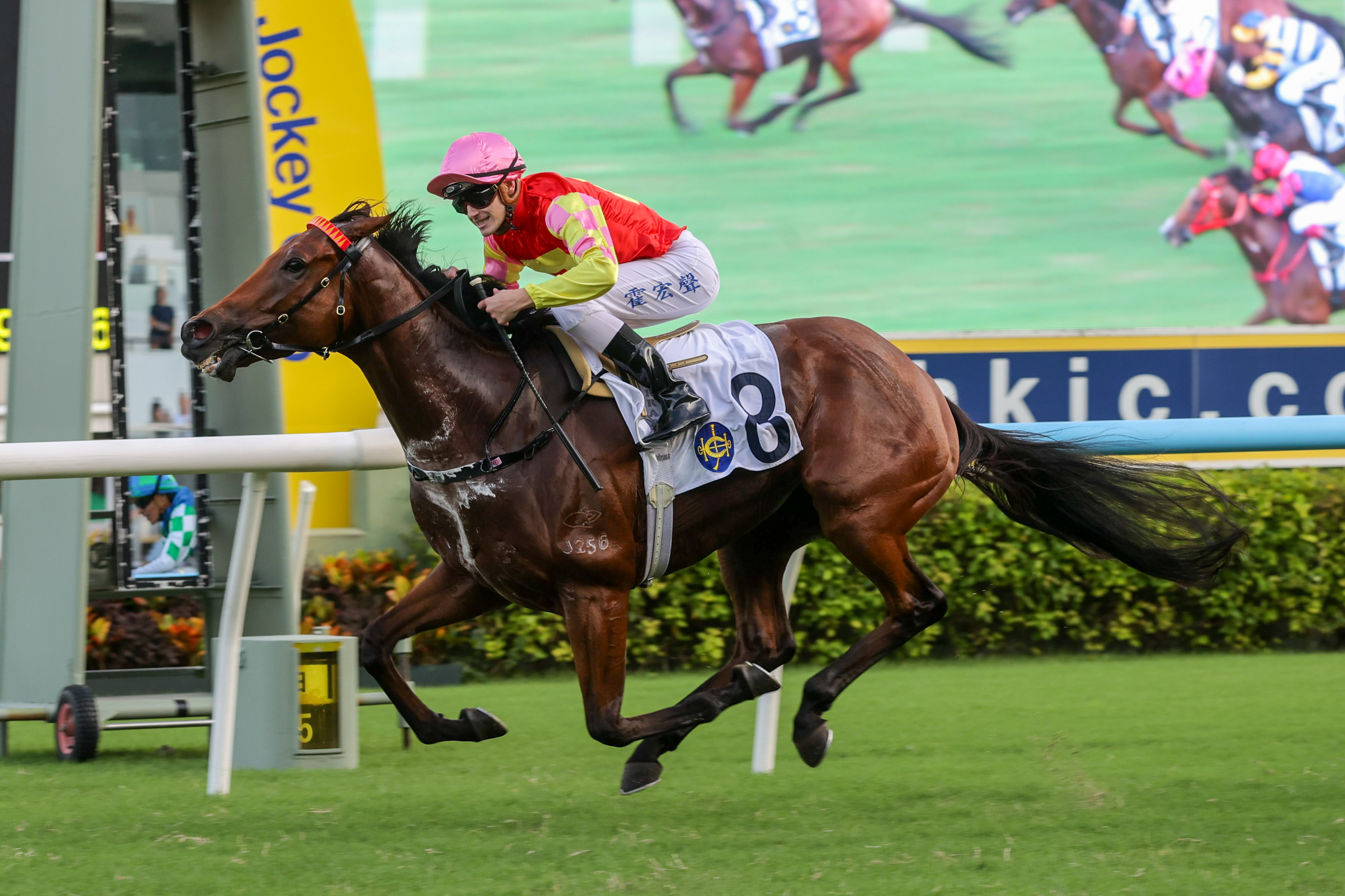 「祝願」在港十三戰六勝