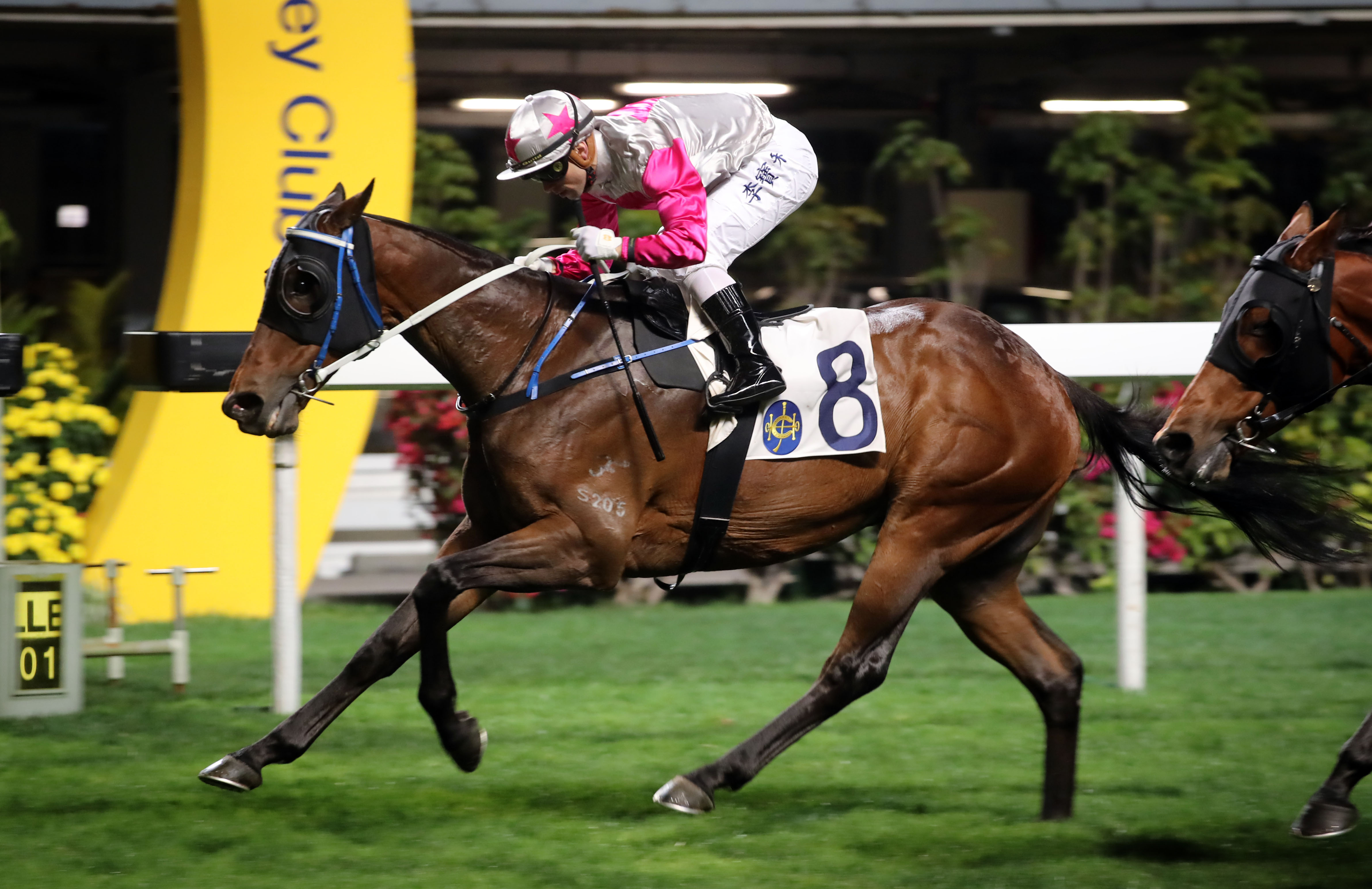 李寶利曾多次在跑馬地報捷。