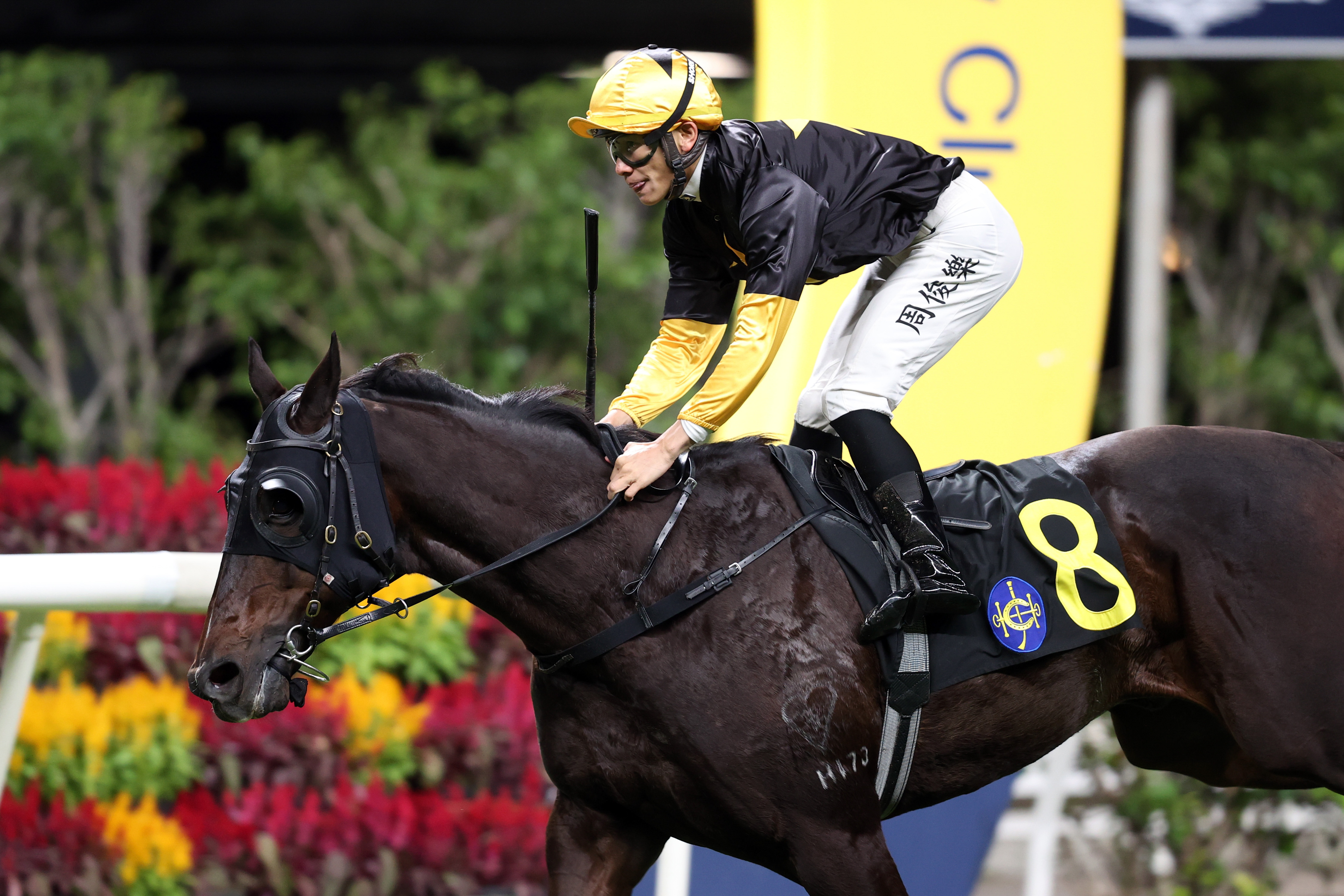 周俊樂夥拍「焦點」獲勝。