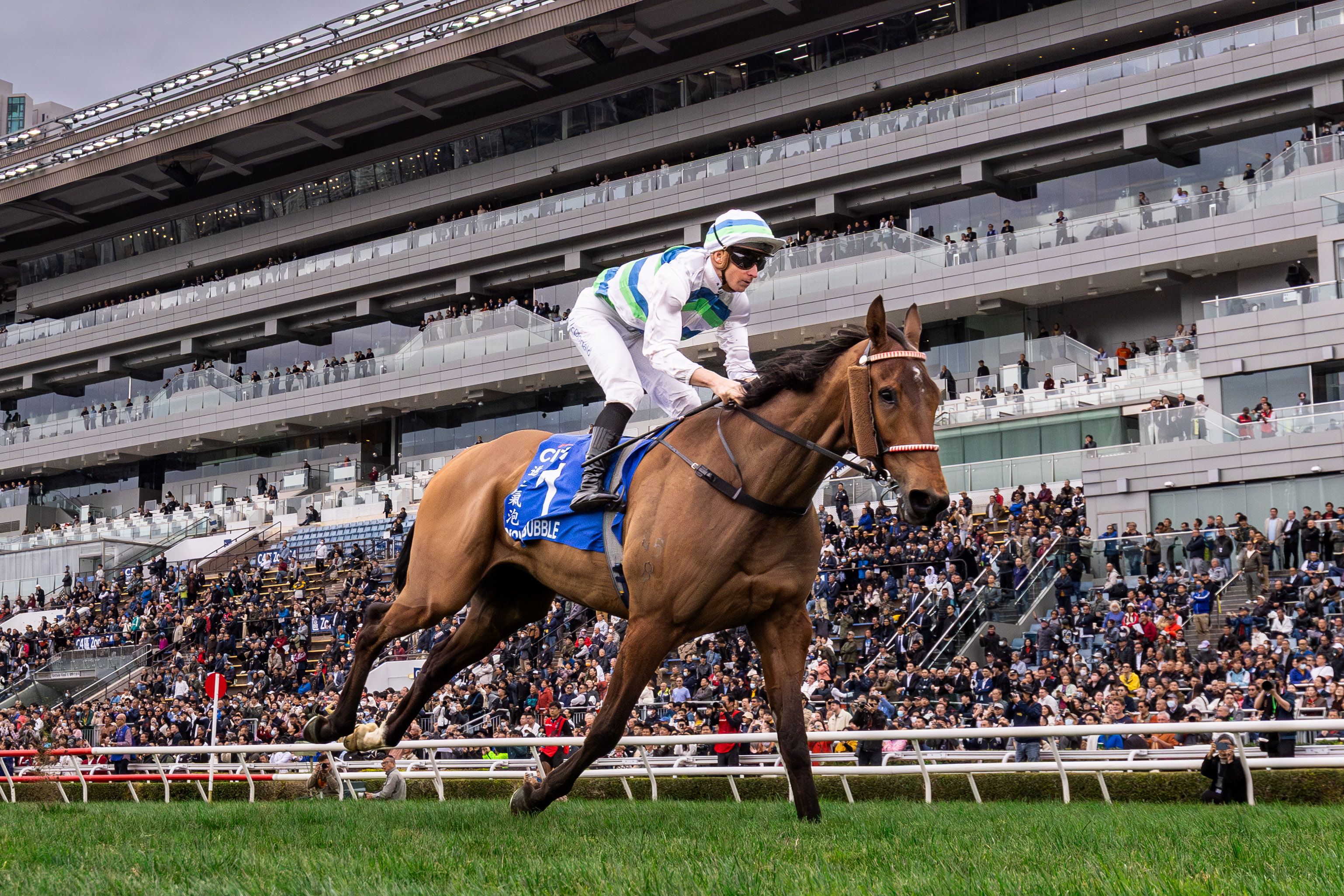 「遨遊氣泡」至今兩勝2000米賽事。
