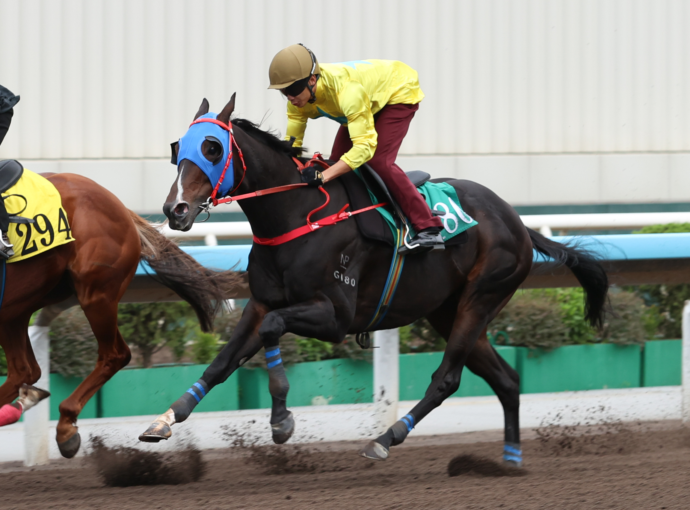 「金鑽貴人」在梁家俊胯下試閘。