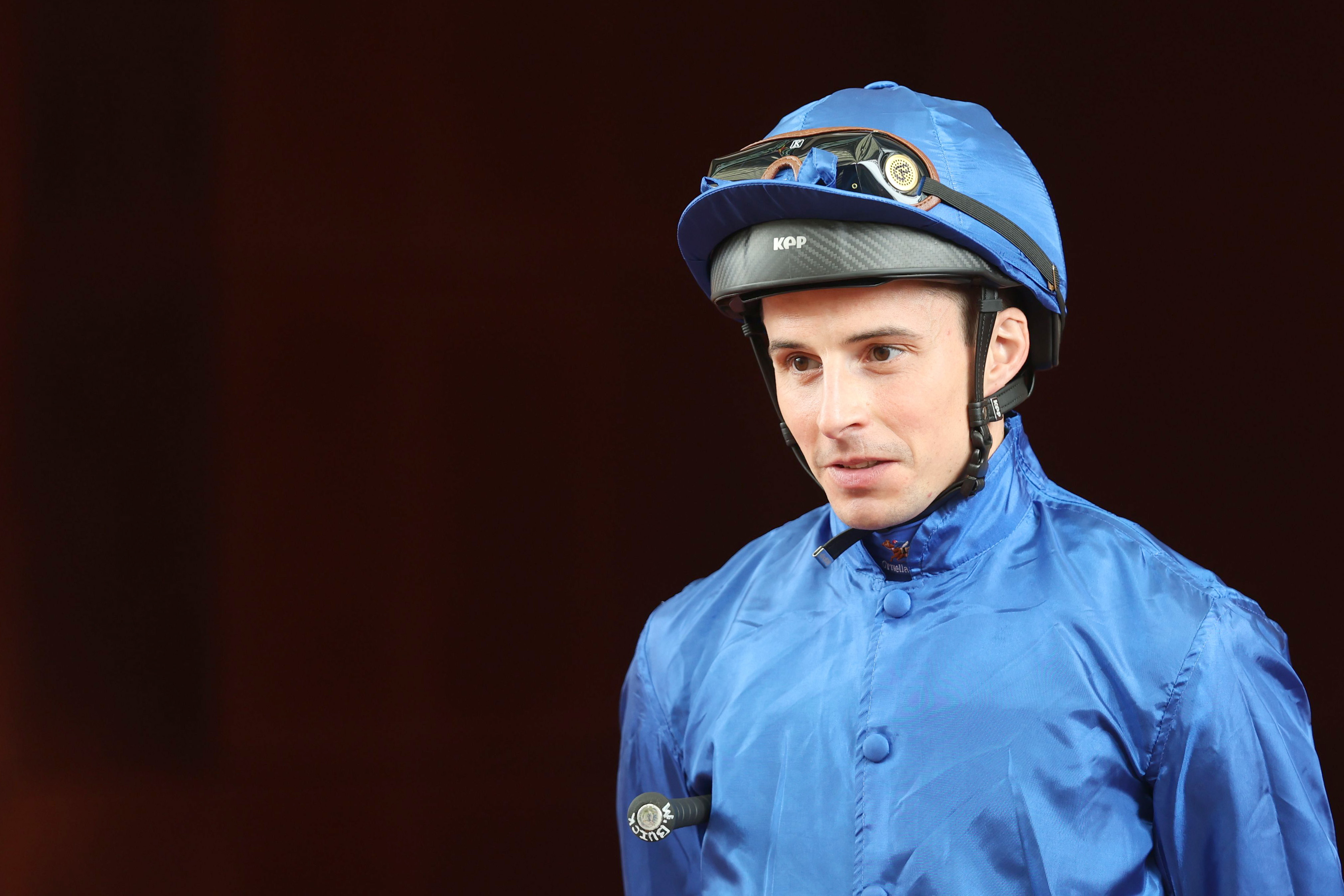 布宜學今年成果豐碩