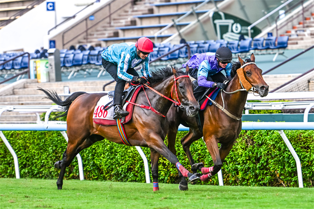 「浪漫勇士」在布文胯下試閘