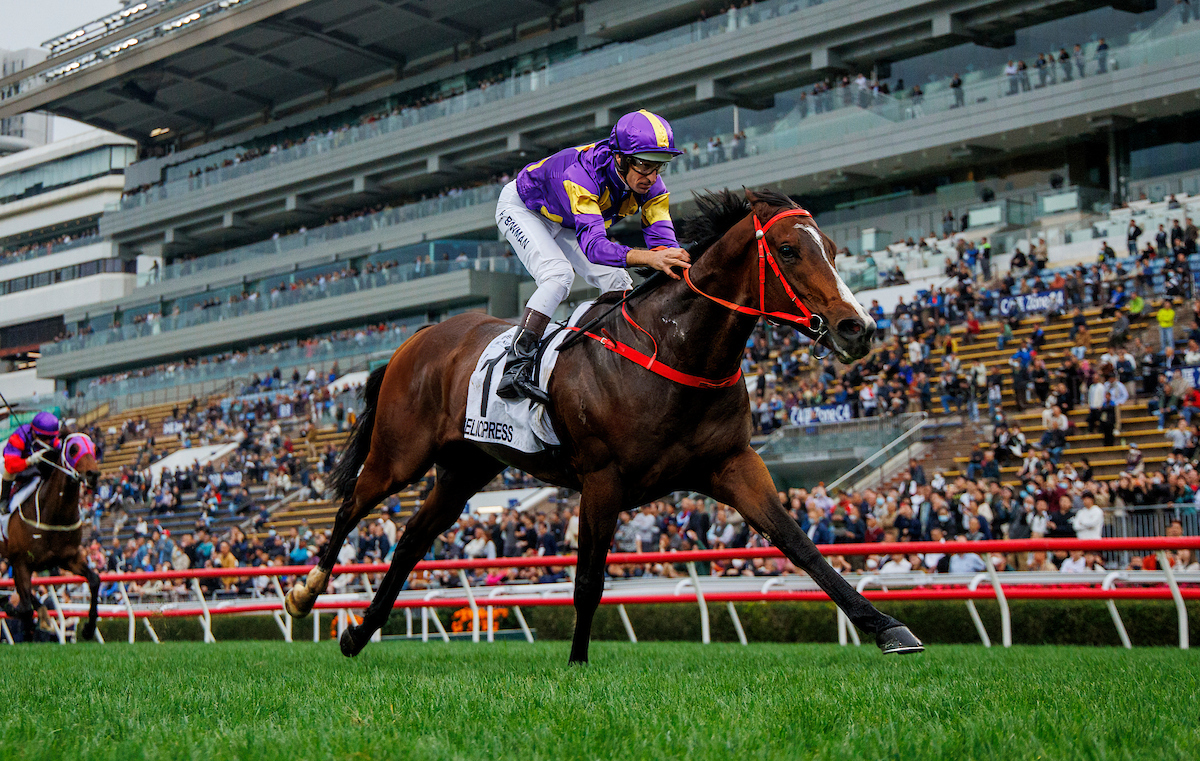 「驕陽明駒」是週日沙田舉行的二級賽精英碗（1200米讓賽）中評分最高的參賽馬。