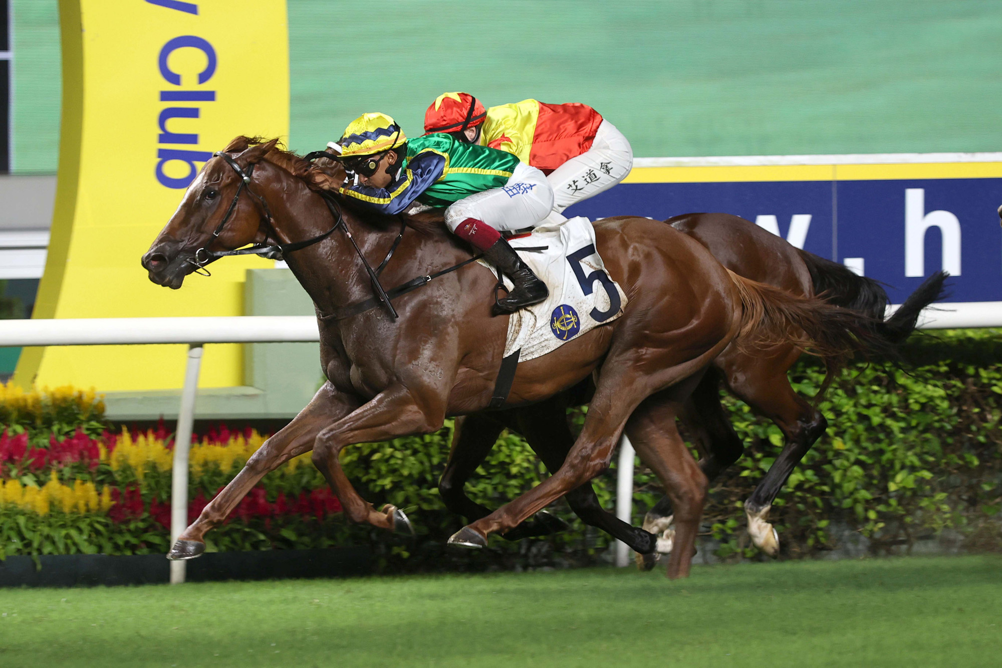 「綠族無限」至今已為伍鵬志貢獻四場頭馬