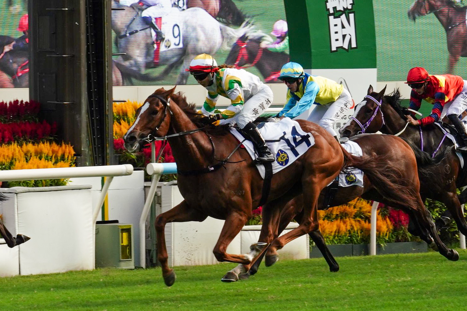 「睿盛人生」（108磅）以佳勢勝出第二班樂聲盃讓賽（1600米）