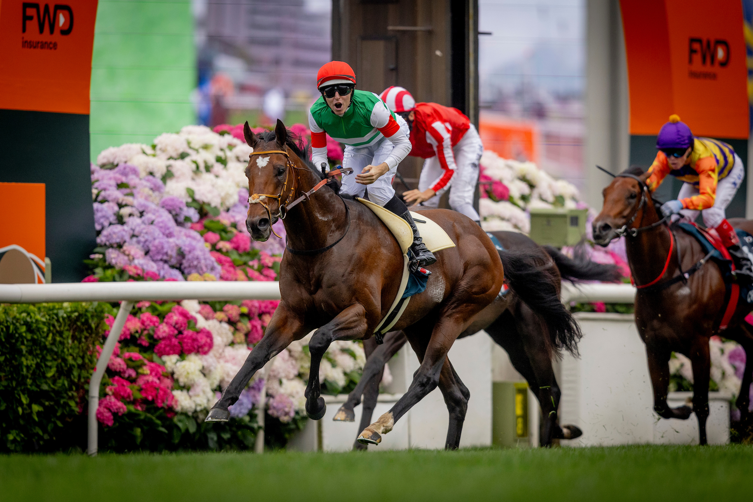 「鍵琴高奏」在沙田為練馬師堀宣行摘下一級賽桂冠