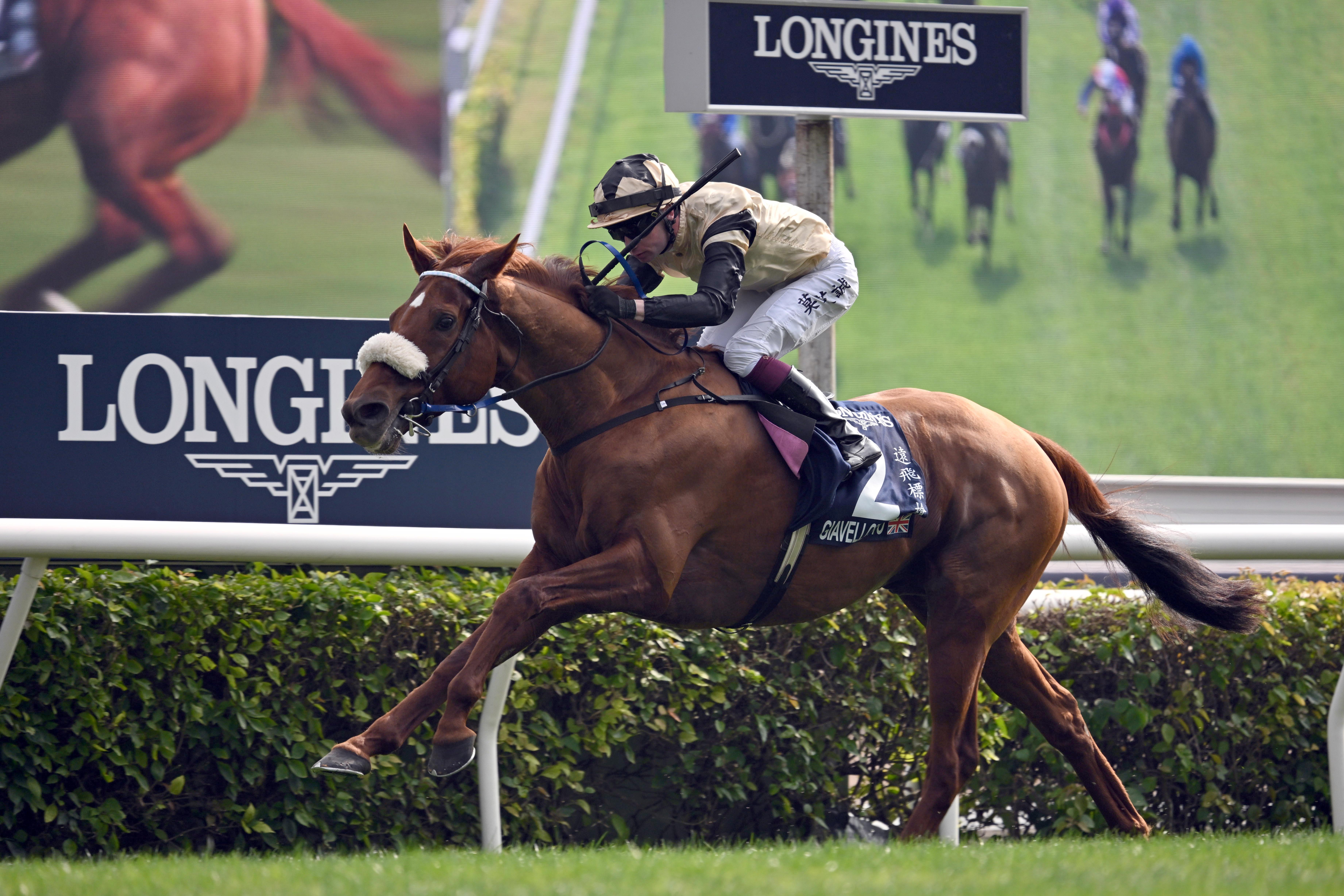 布銘球訓練的「遠飛標槍」摘下2024年浪琴香港瓶