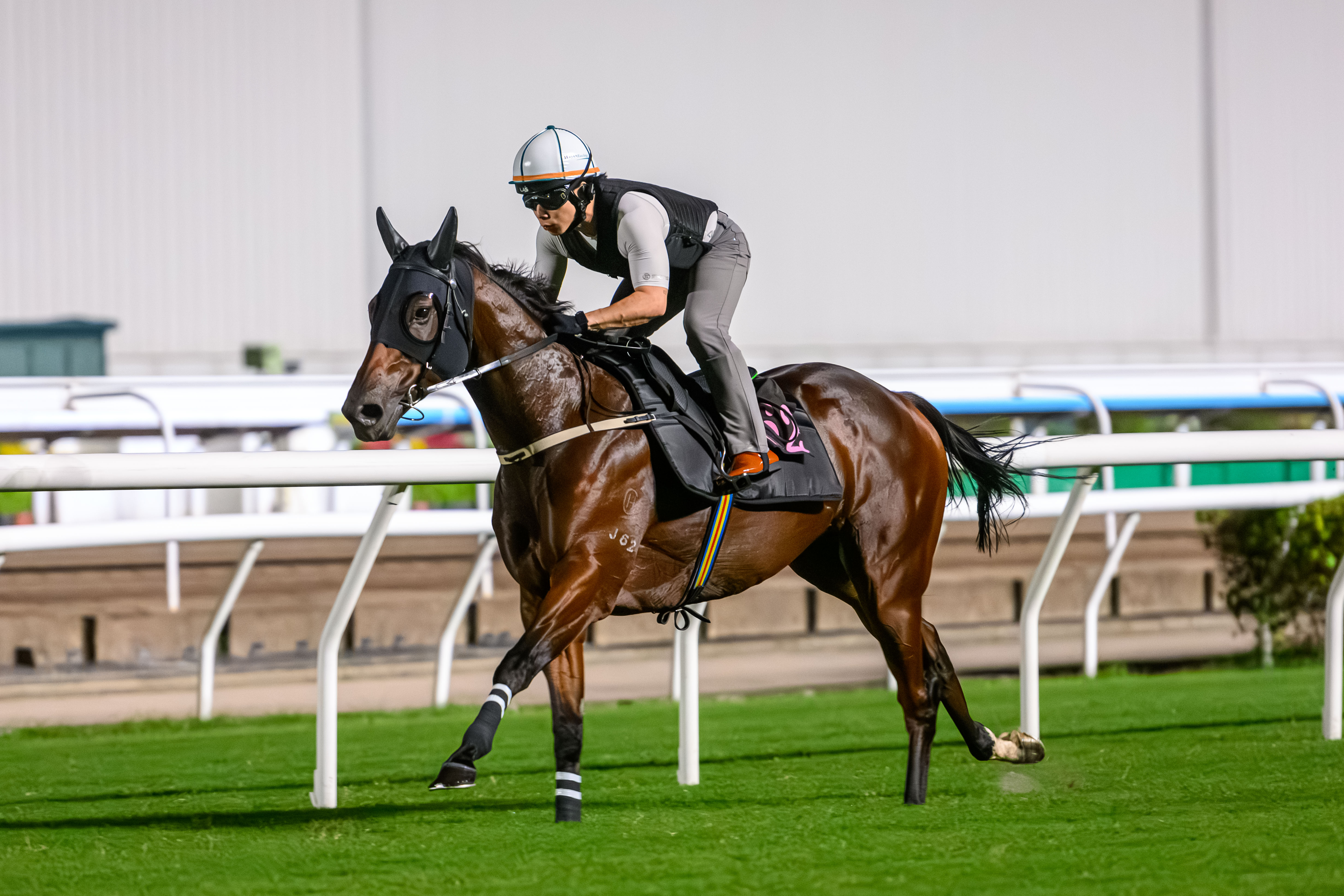 「嘉應高昇」完成離港前最後一課快跳，週日將出發前往澳洲悉尼