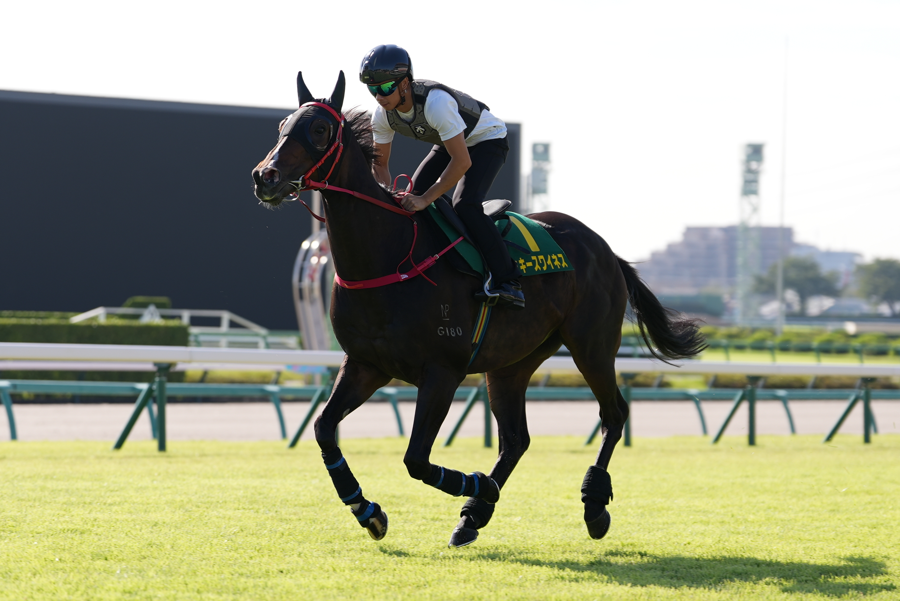 「金鑽貴人」今晨（9月26日星期五）在中山競馬場內慢跳