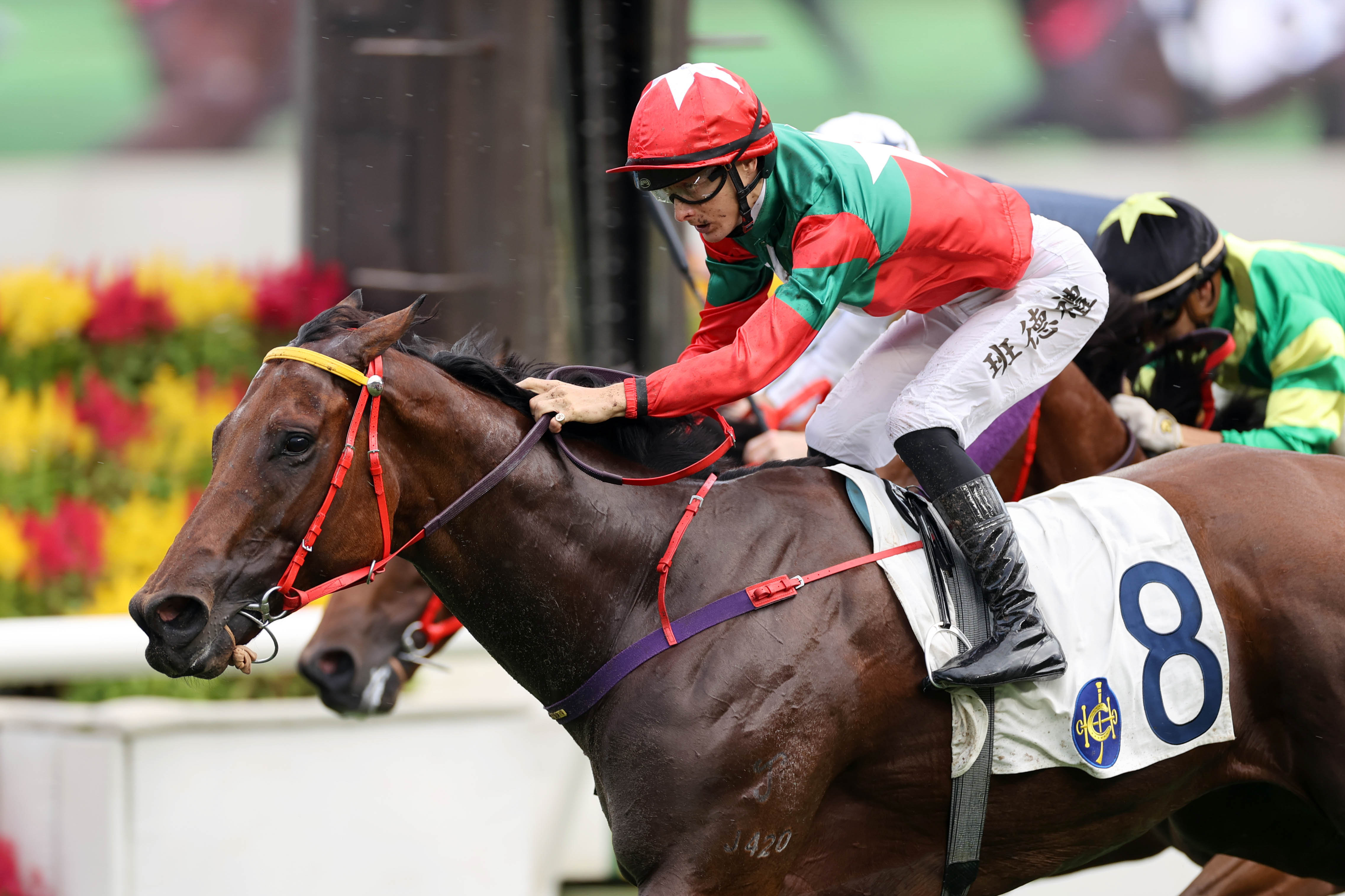 「但求開心」是今屆三級賽慶典盃中負磅最輕的一匹參賽馬