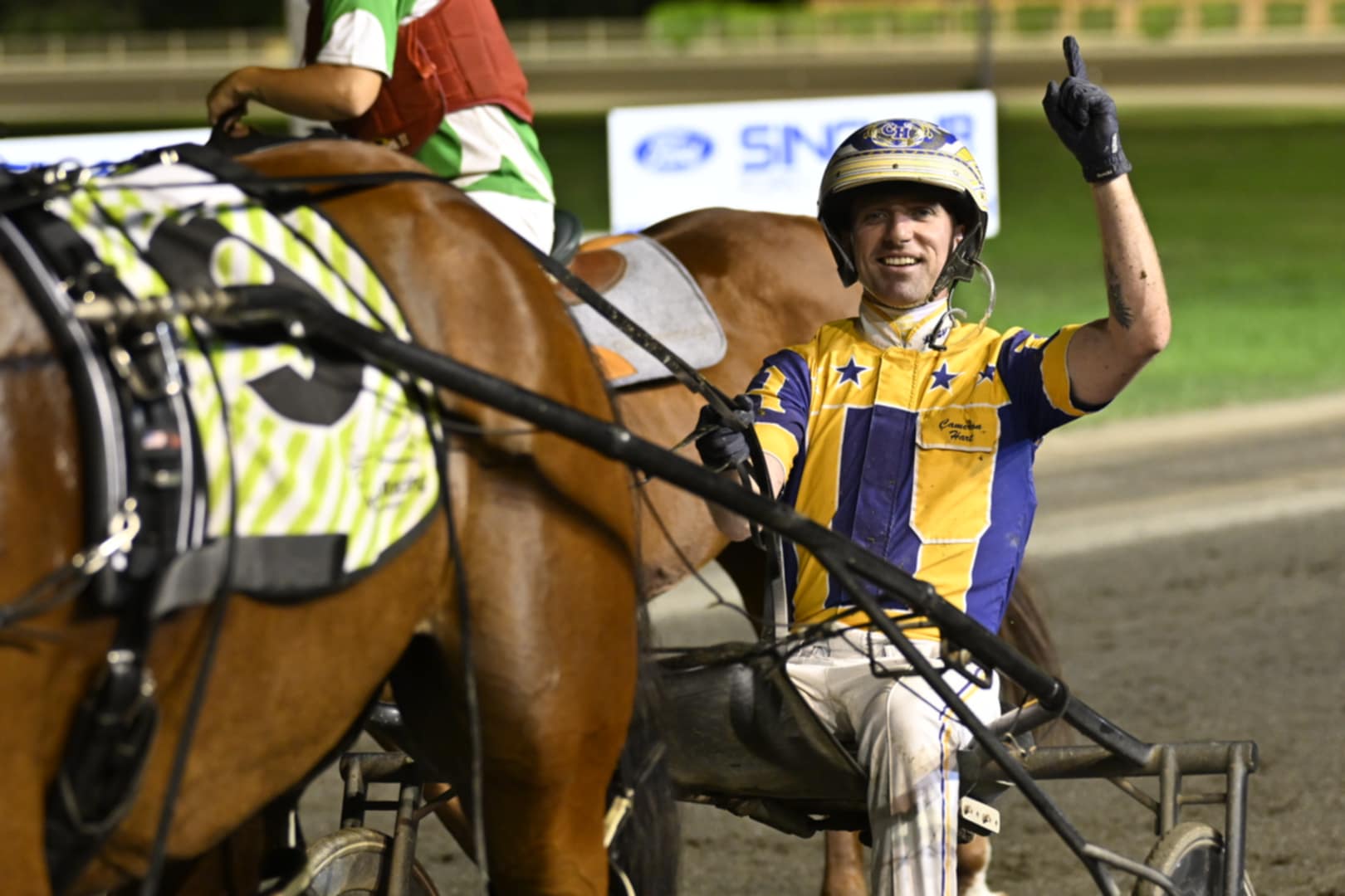 Cam Hart drives War Dan Buddy at Wagga. Photo HRNSW