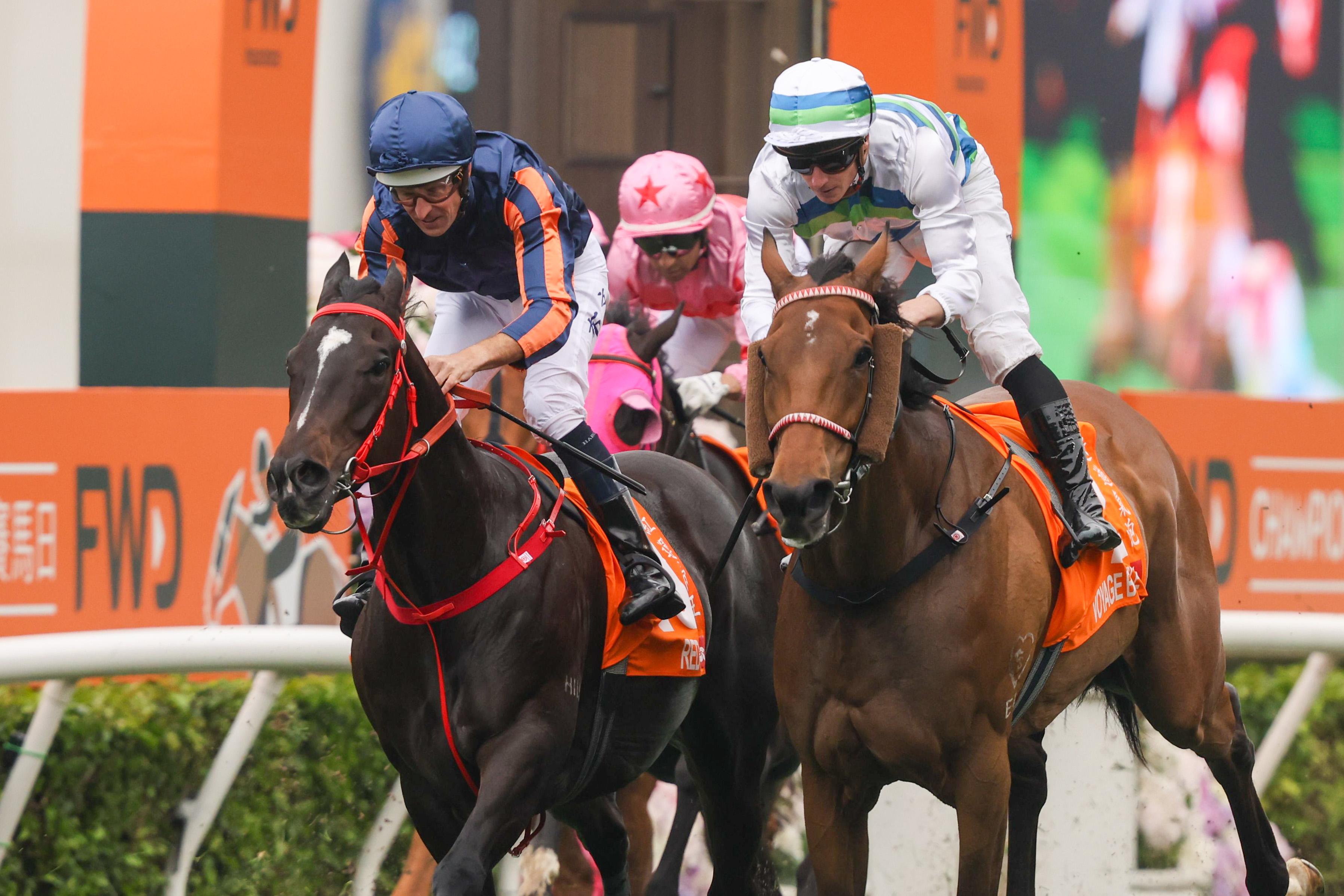 「紅運帝王」去年於富衛保險冠軍賽馬日擊敗「遨遊氣泡」奪魁