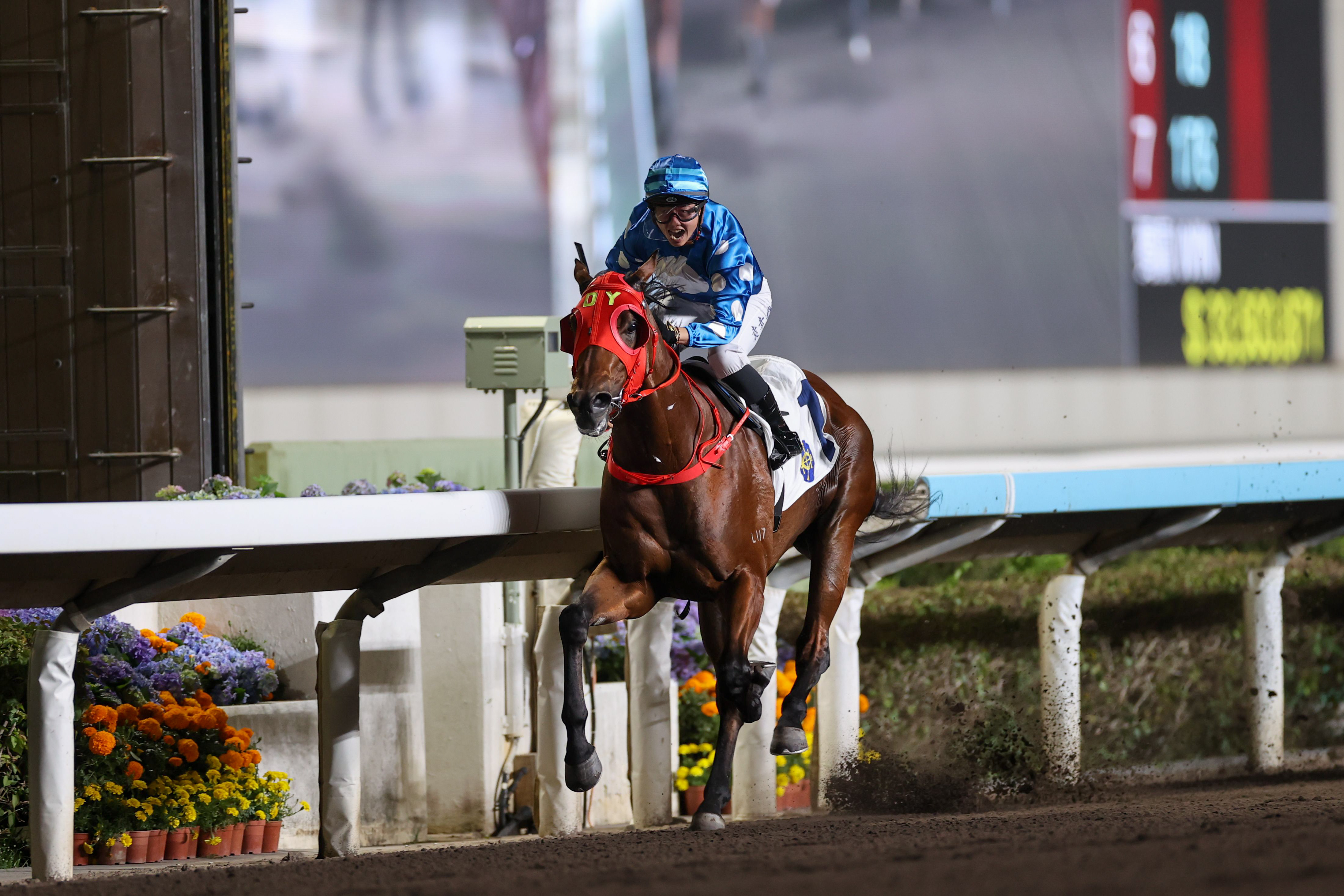 袁幸堯夥拍「偵探傳奇」拋離對手獲勝。