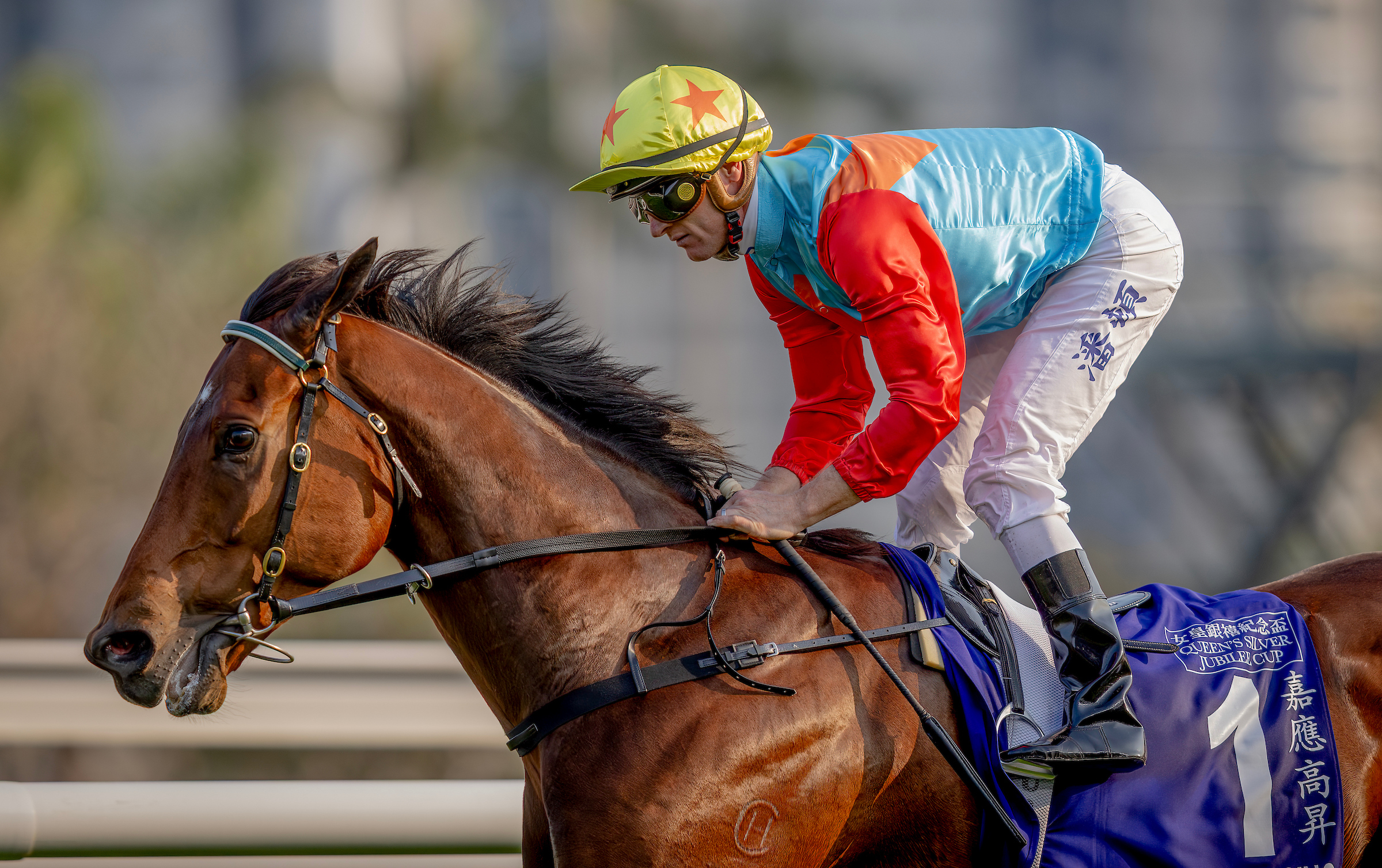 「嘉應高昇」接連在香港賽馬史寫下新篇章